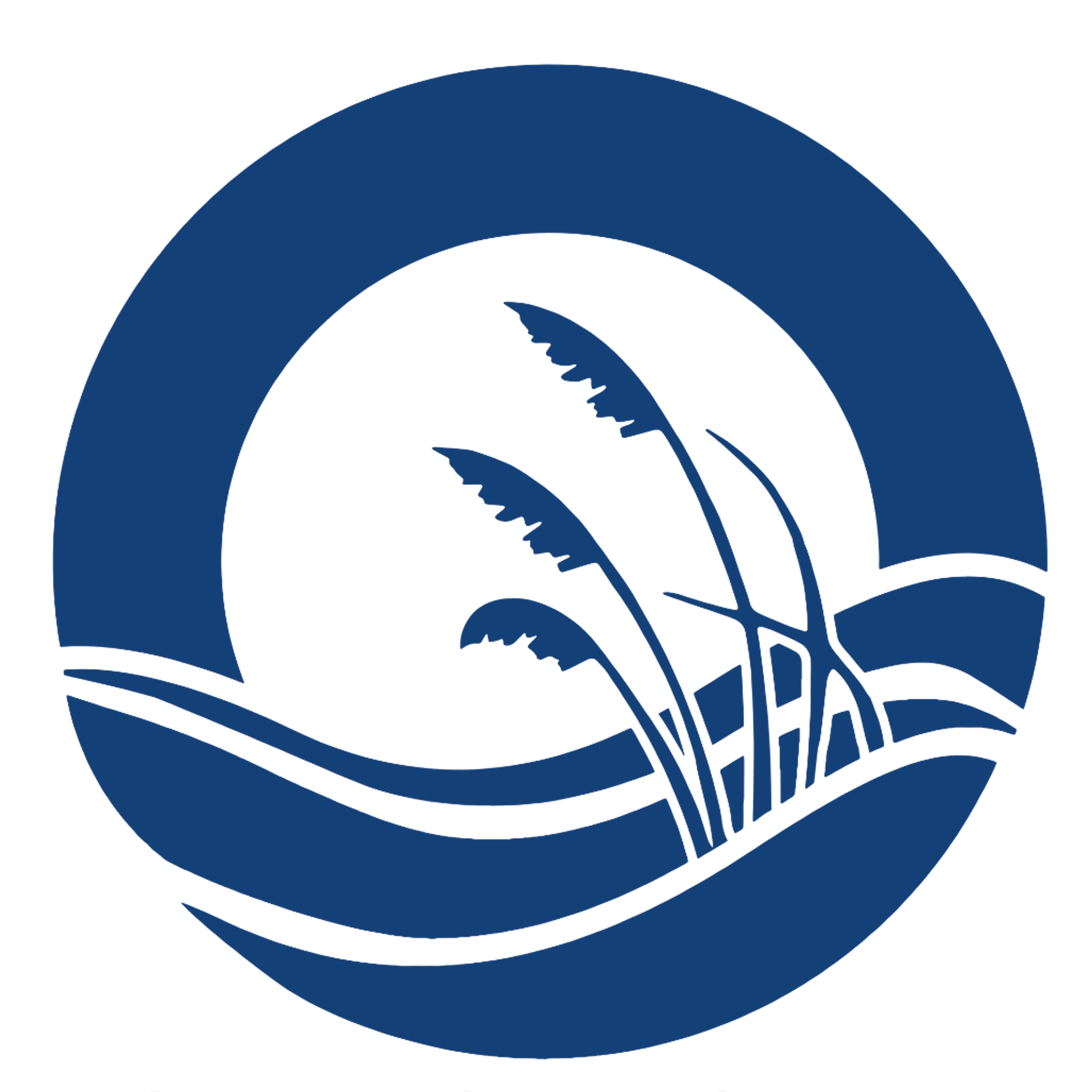 cdn image