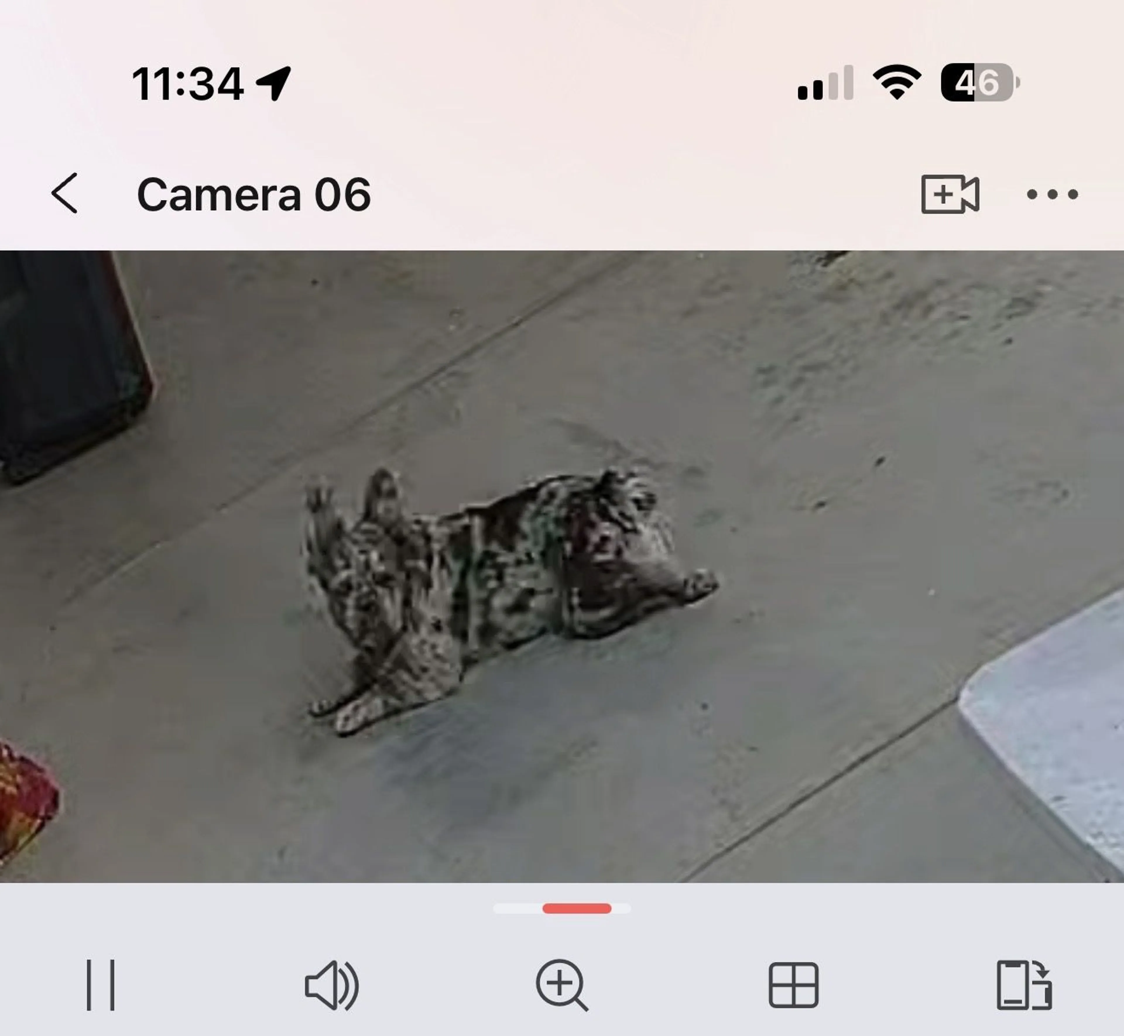 cdn image