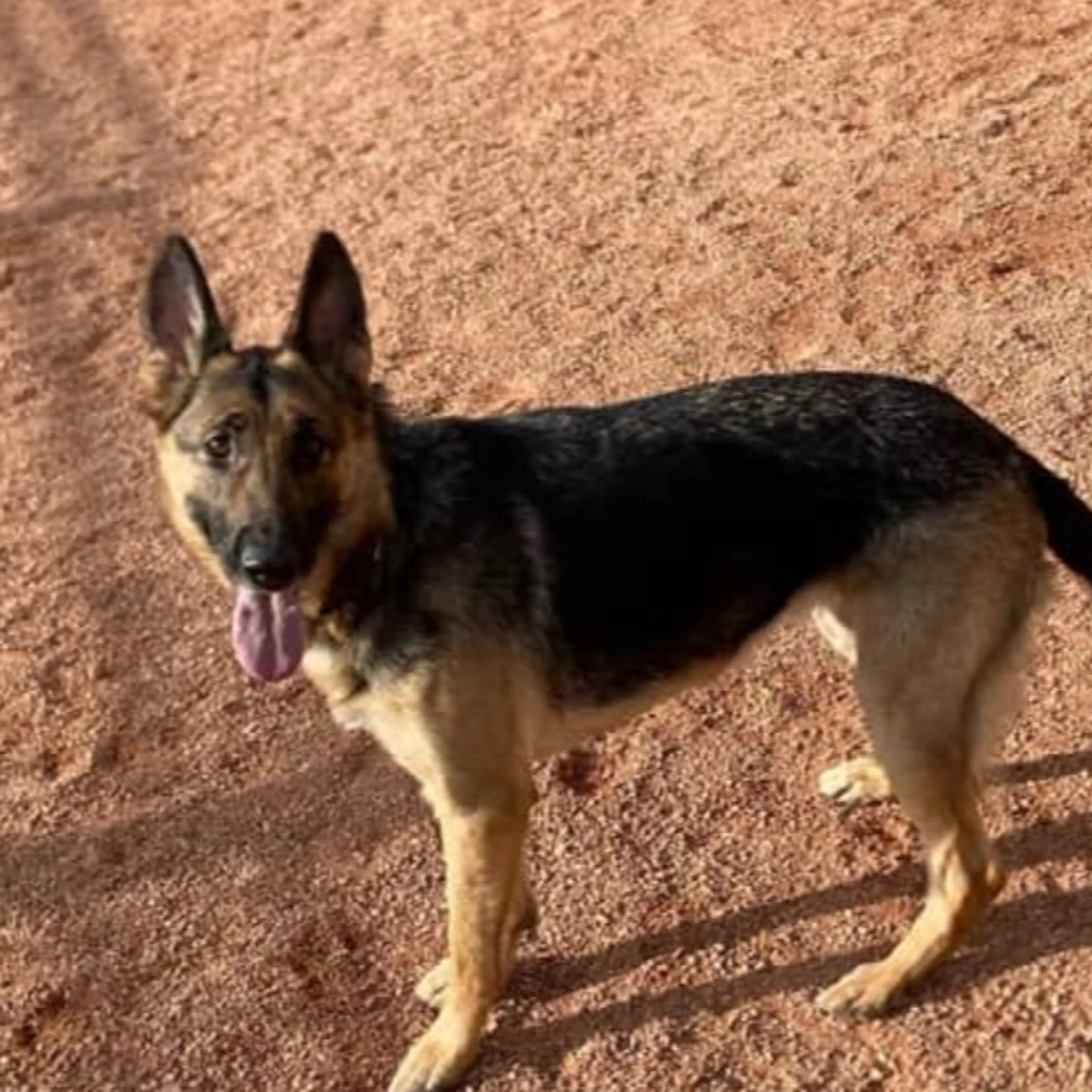 cdn image