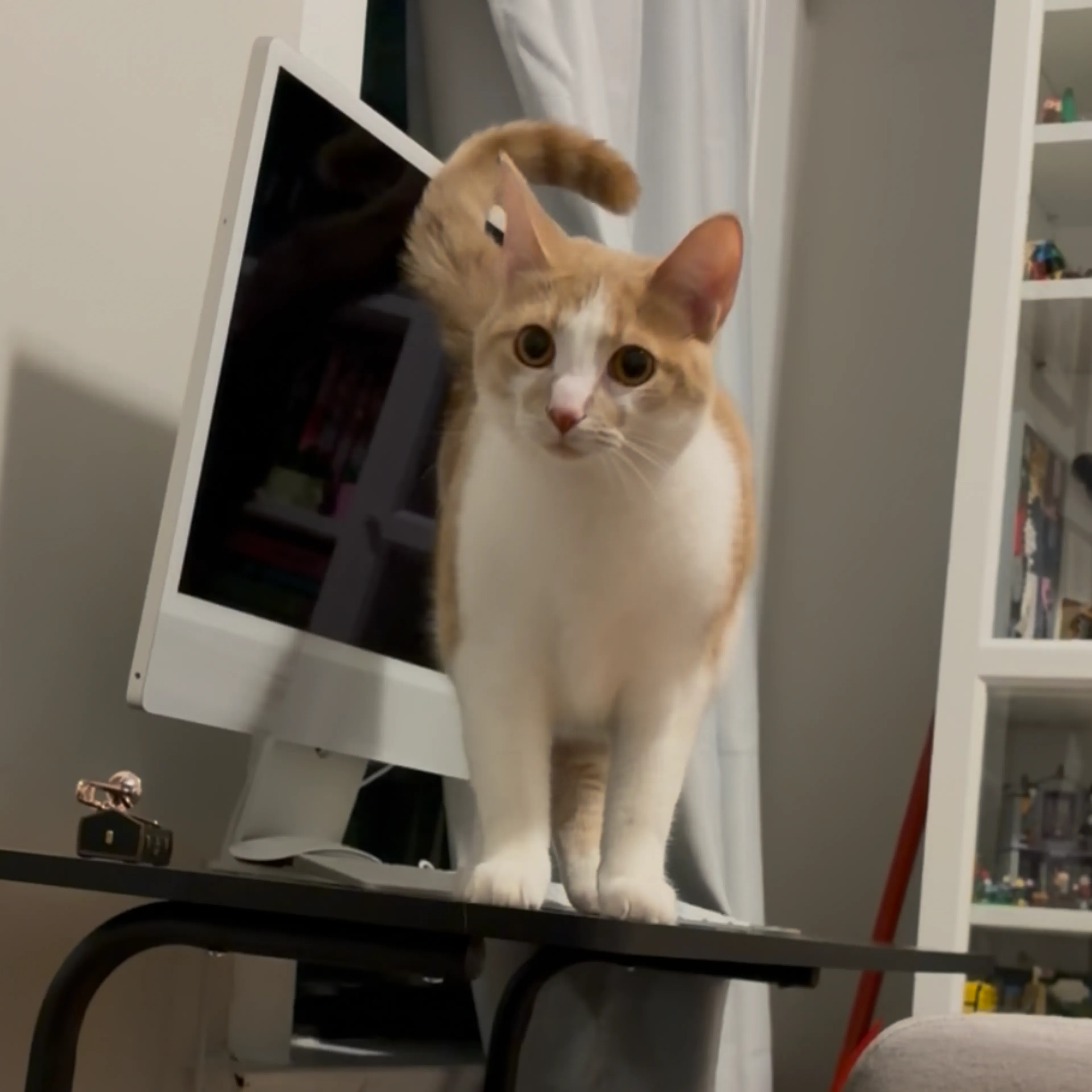 cdn image
