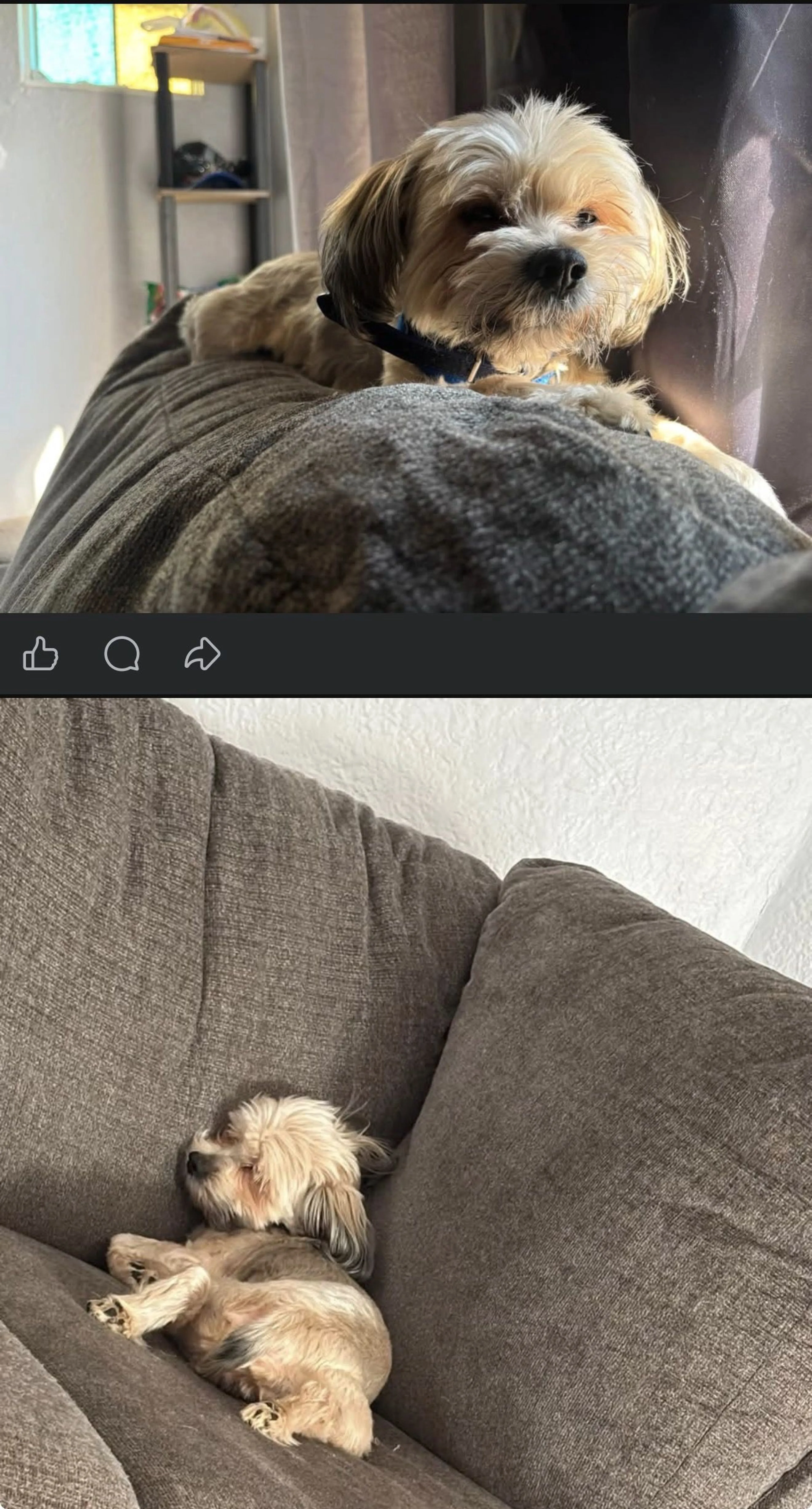 cdn image
