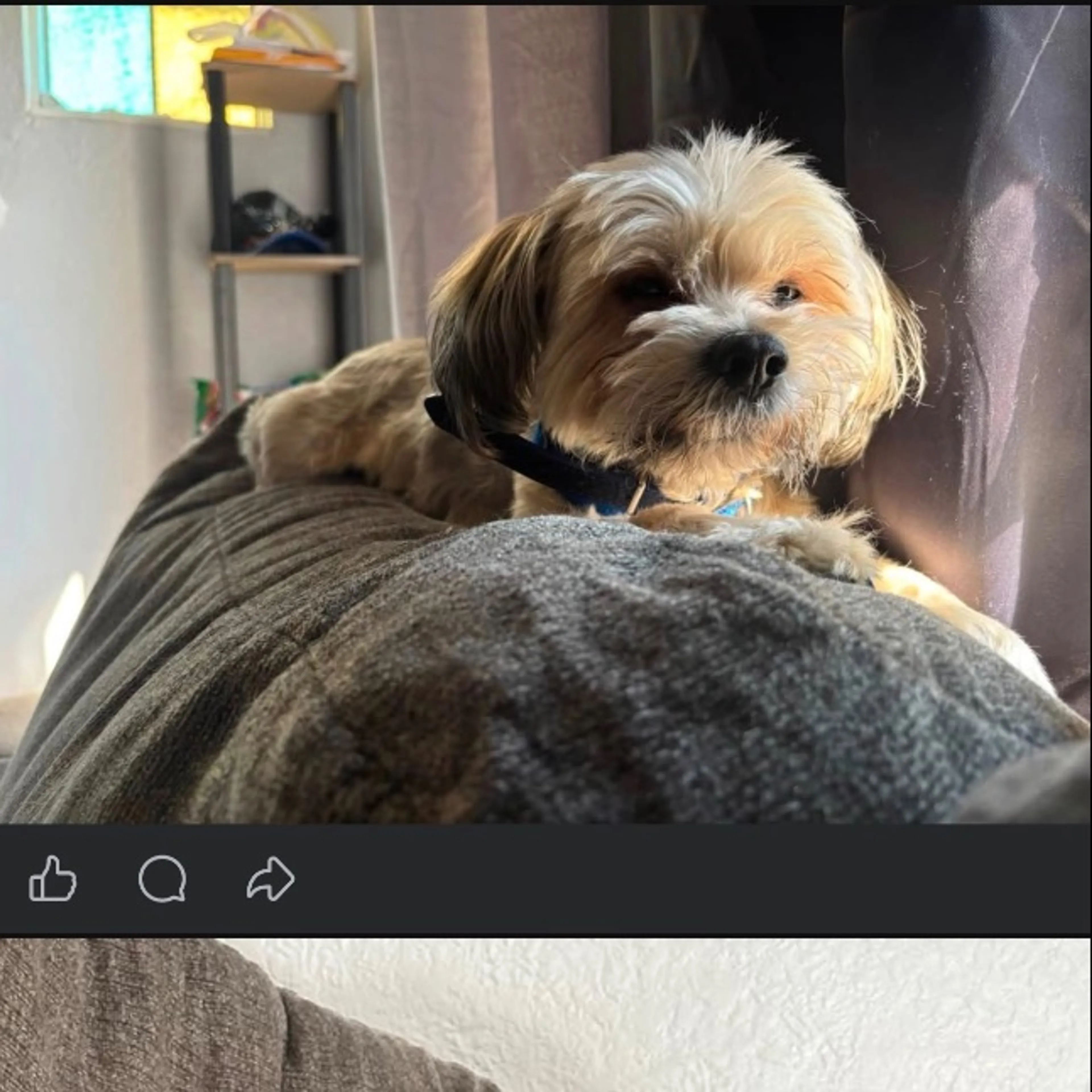 cdn image