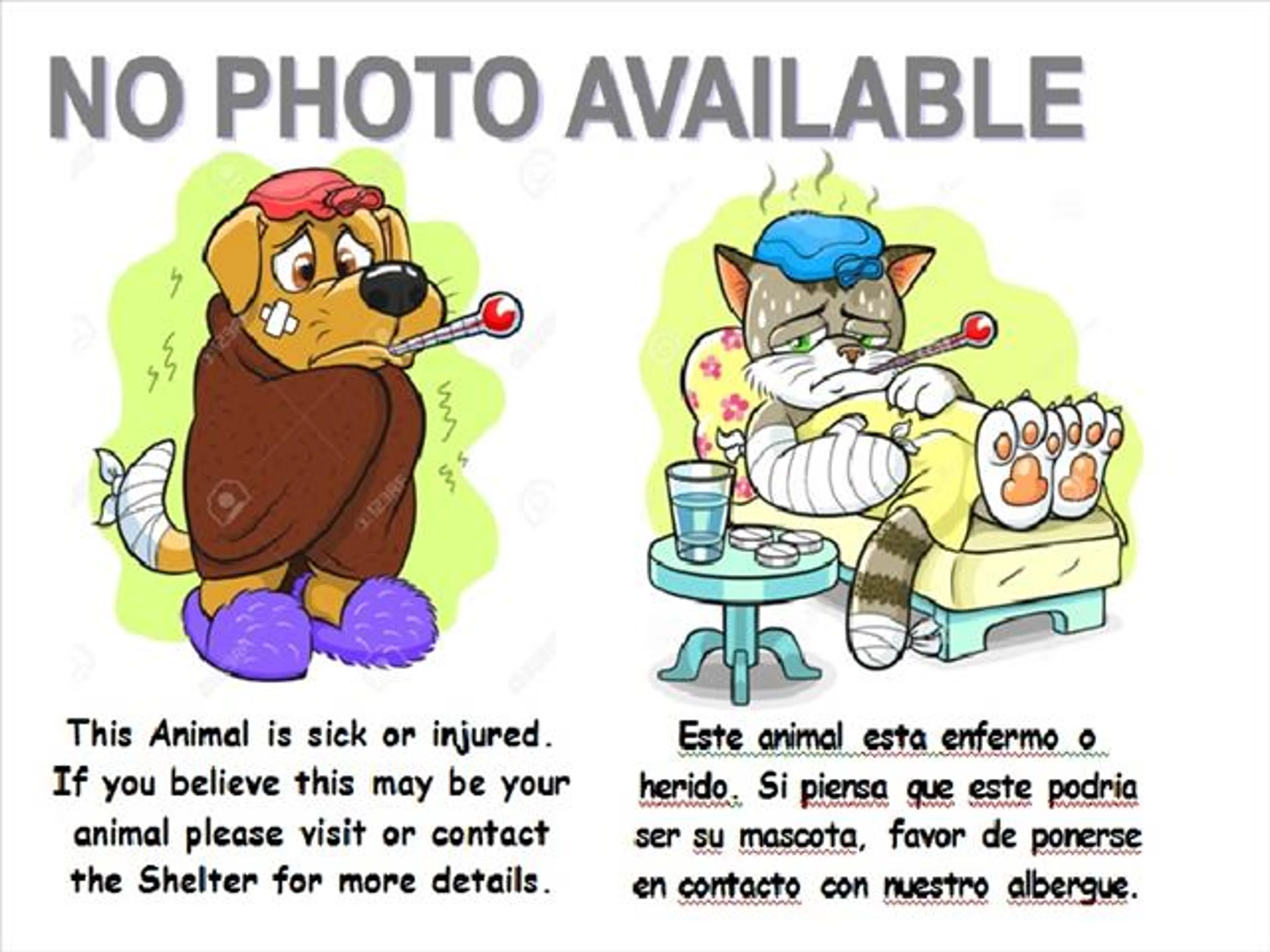 cdn image