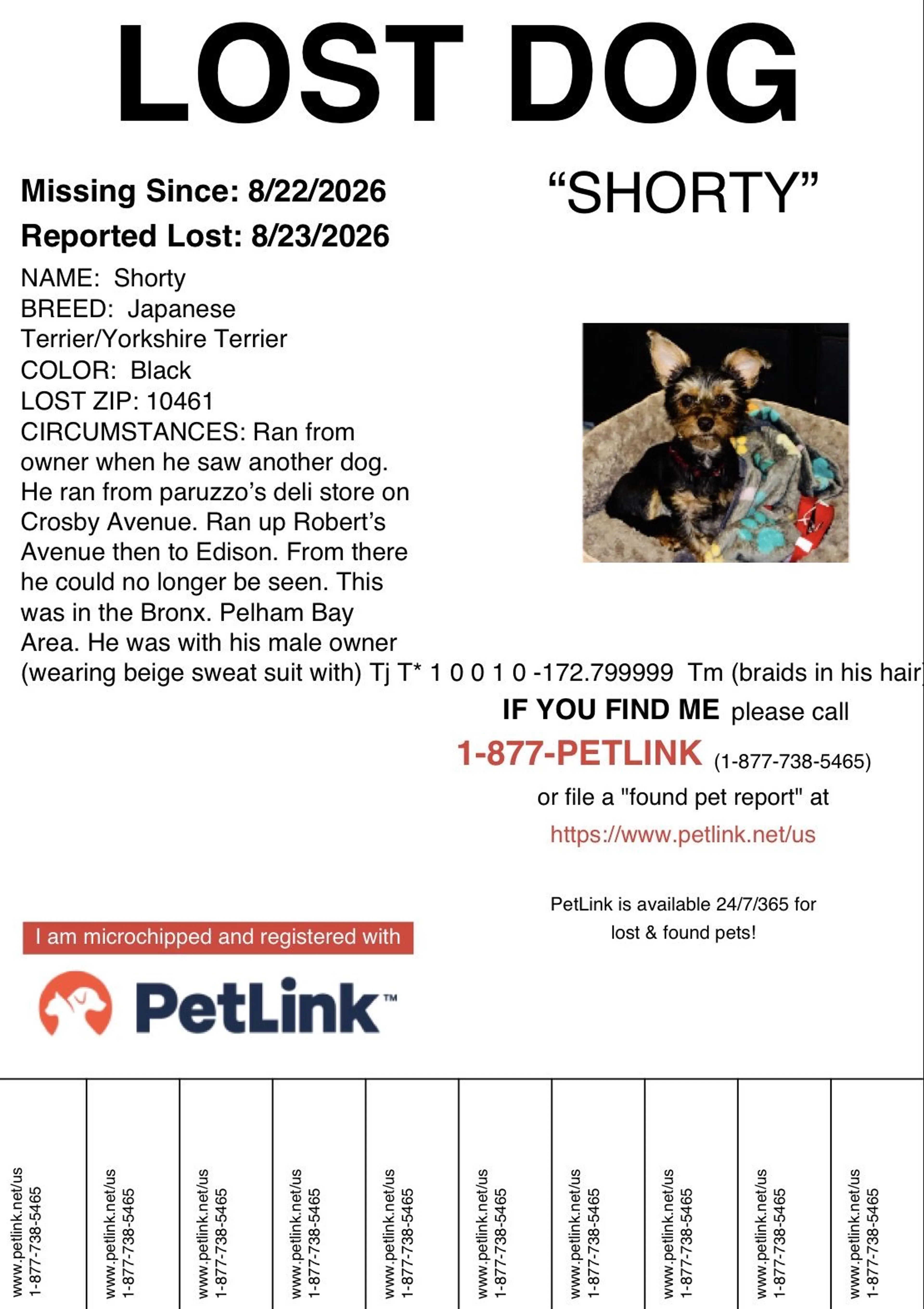 cdn image