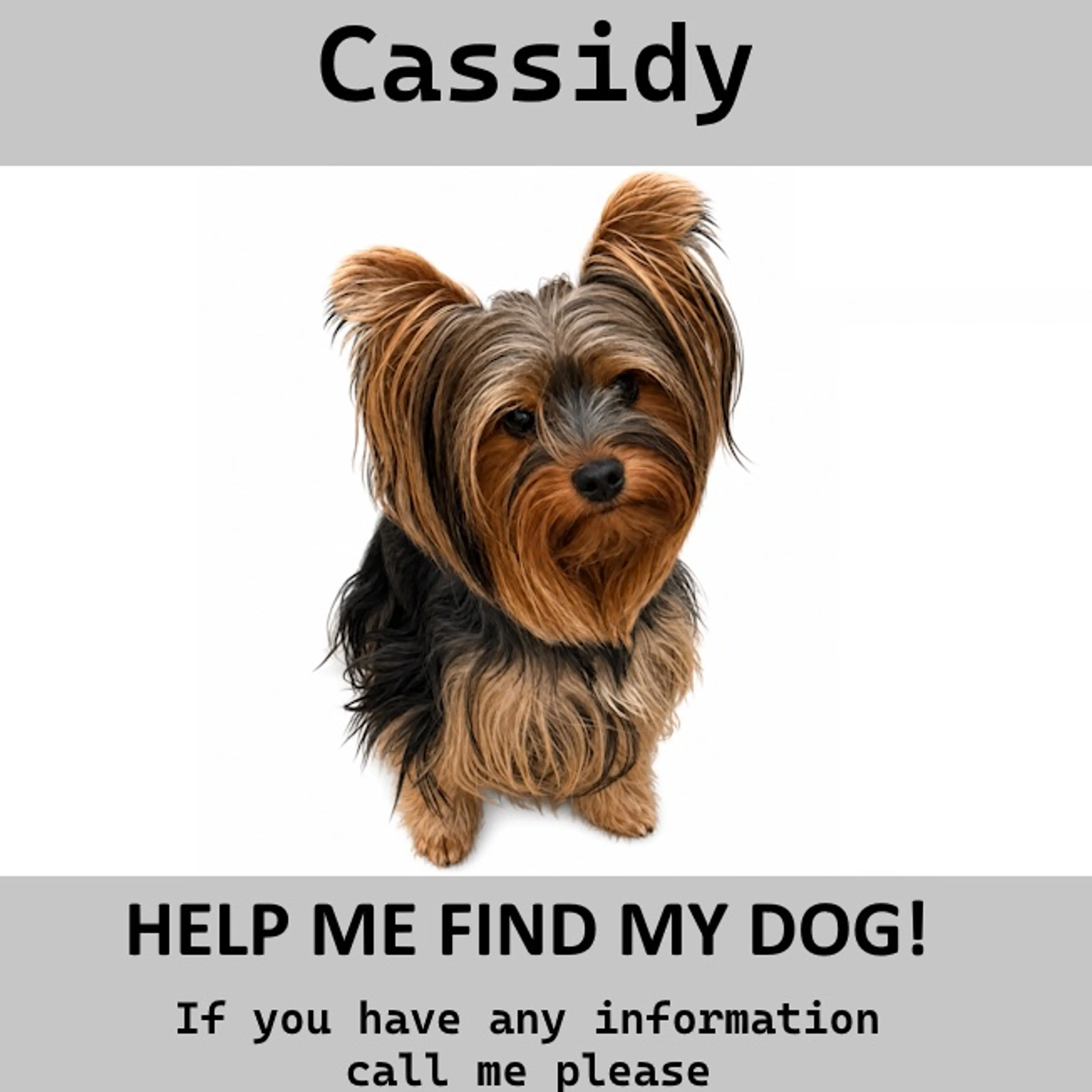 cdn image