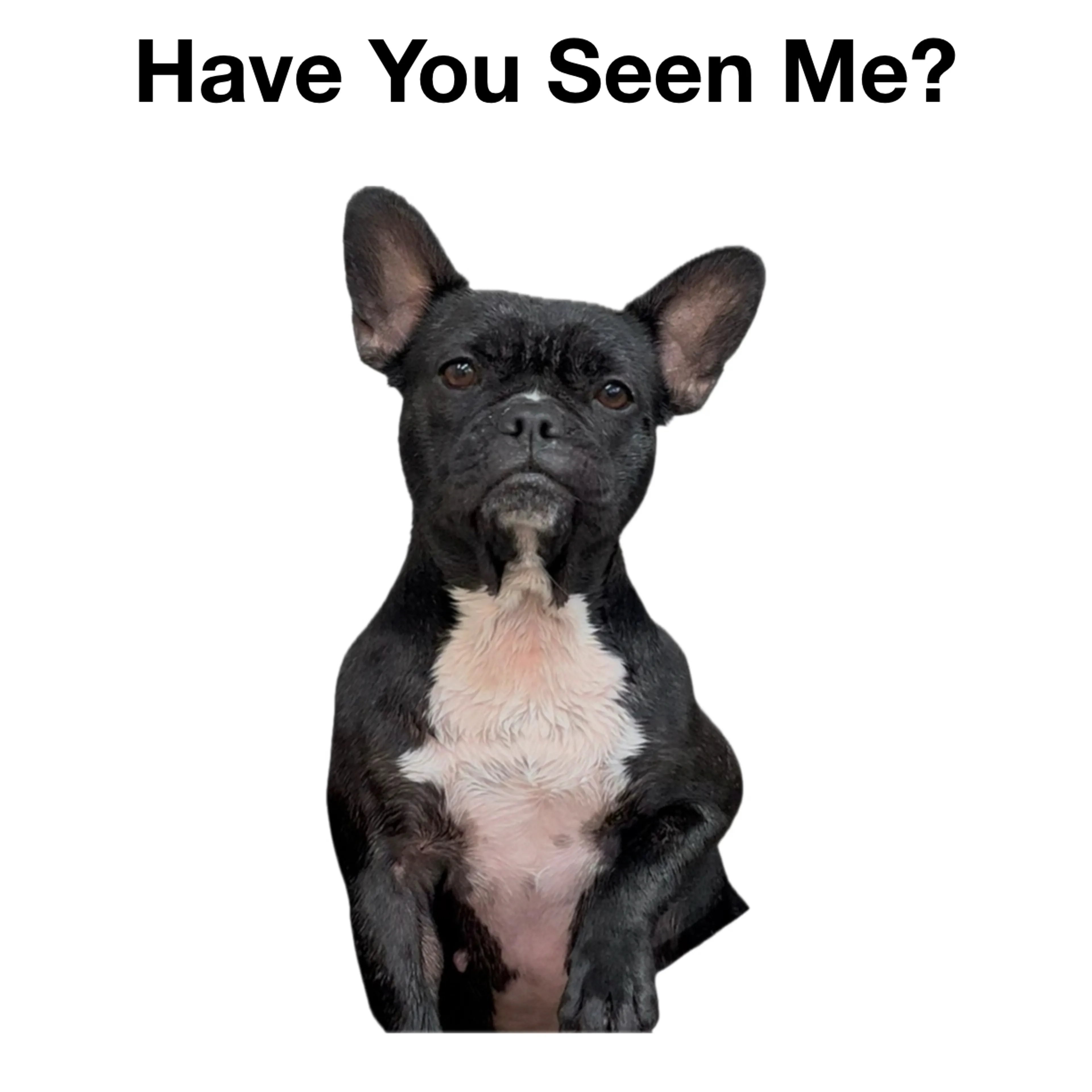 cdn image