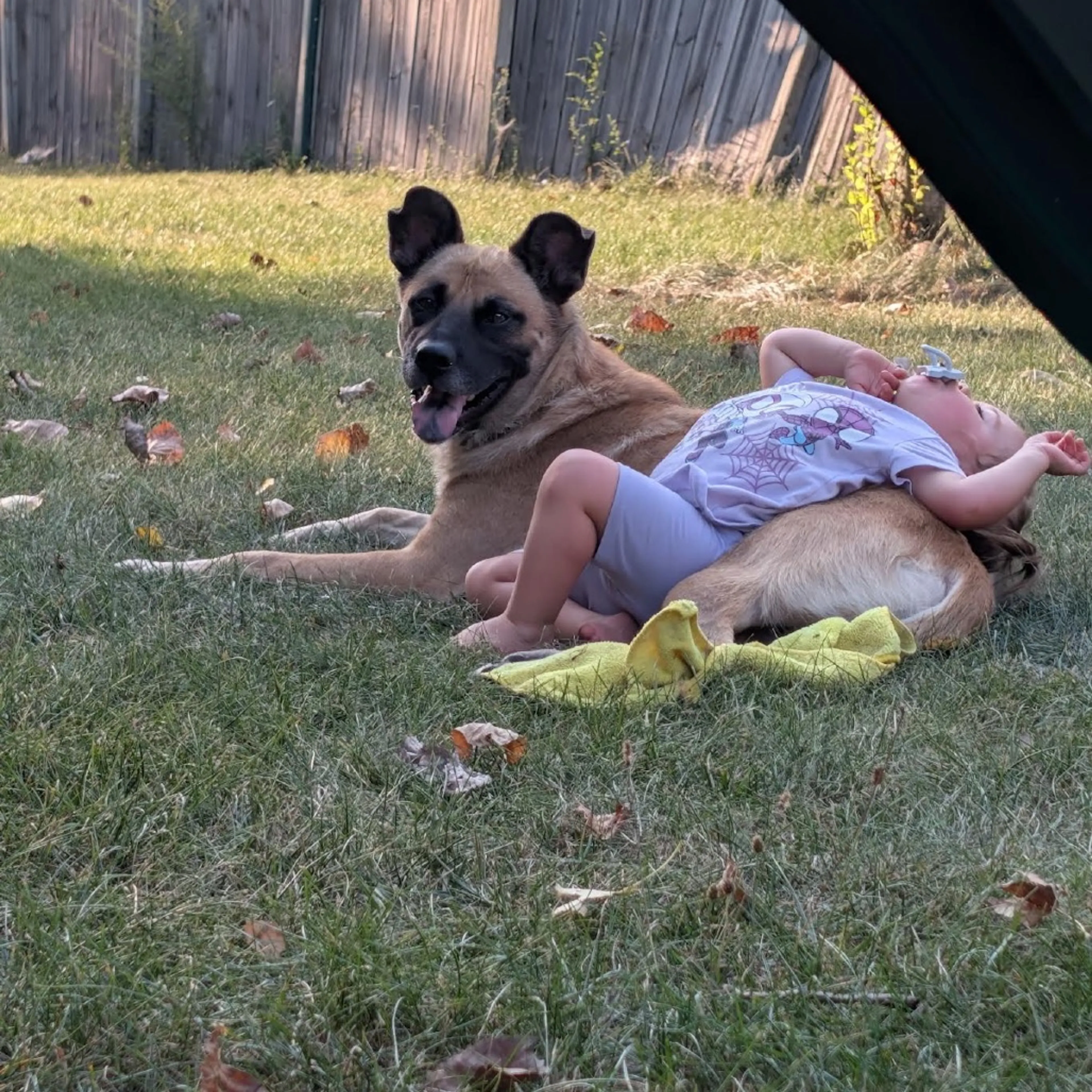 cdn image