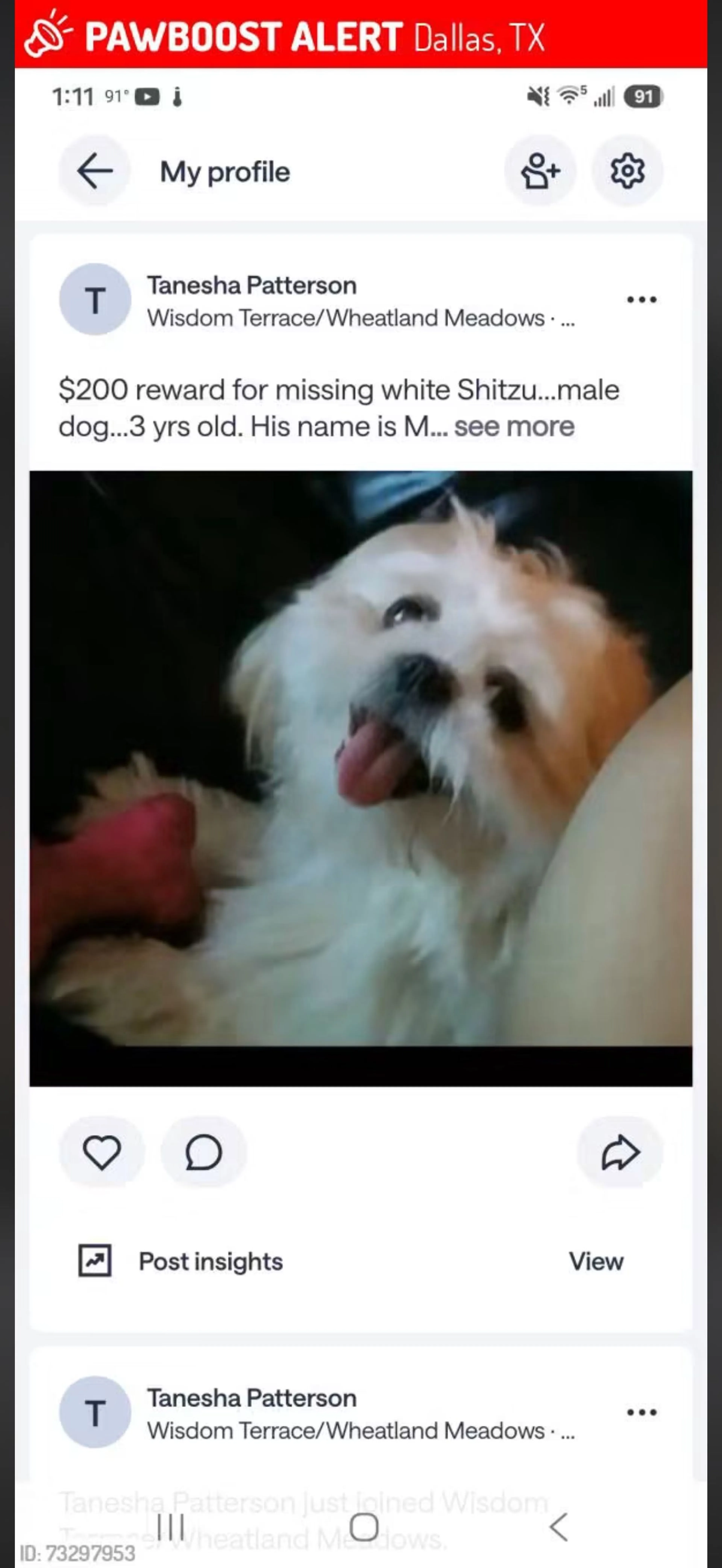 cdn image
