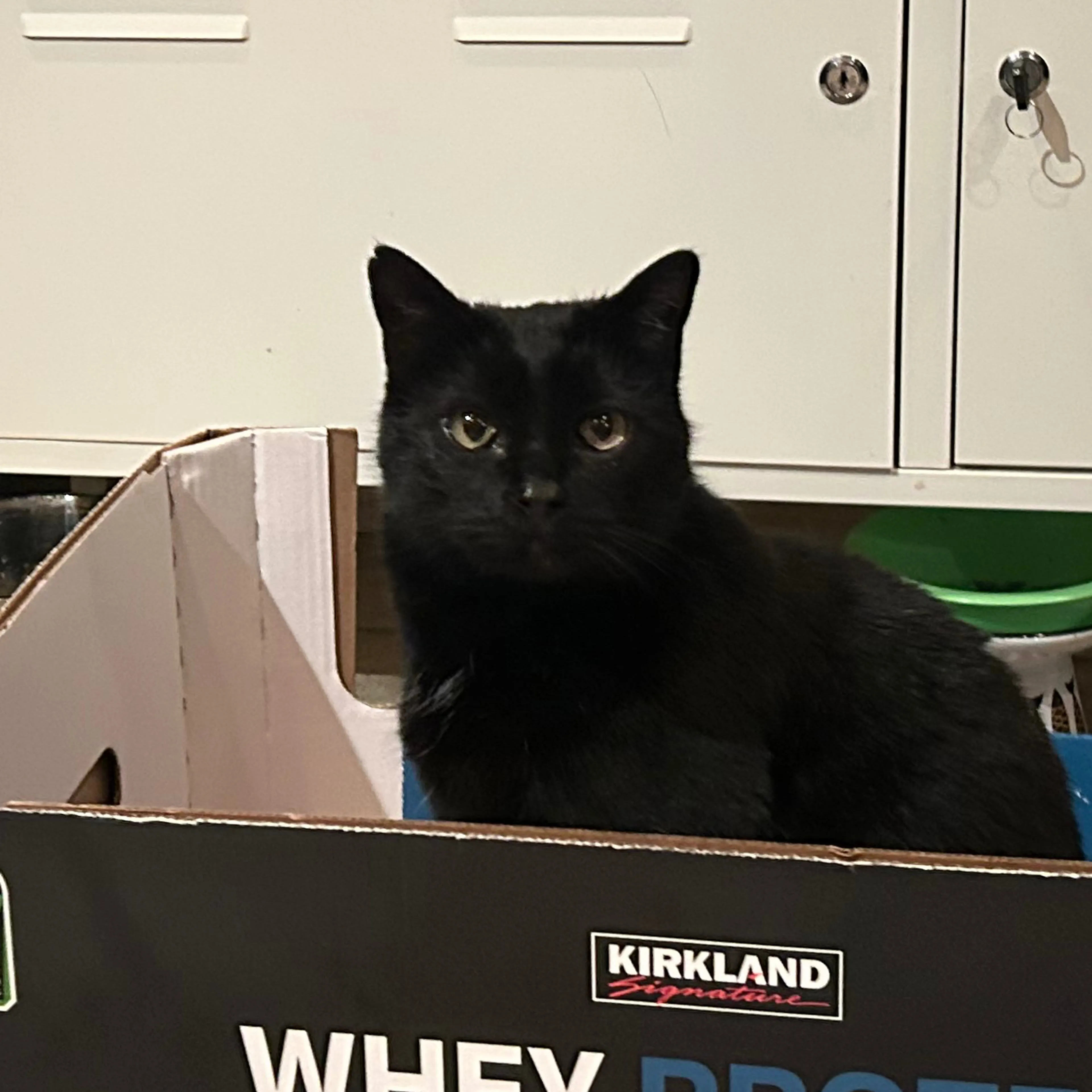cdn image