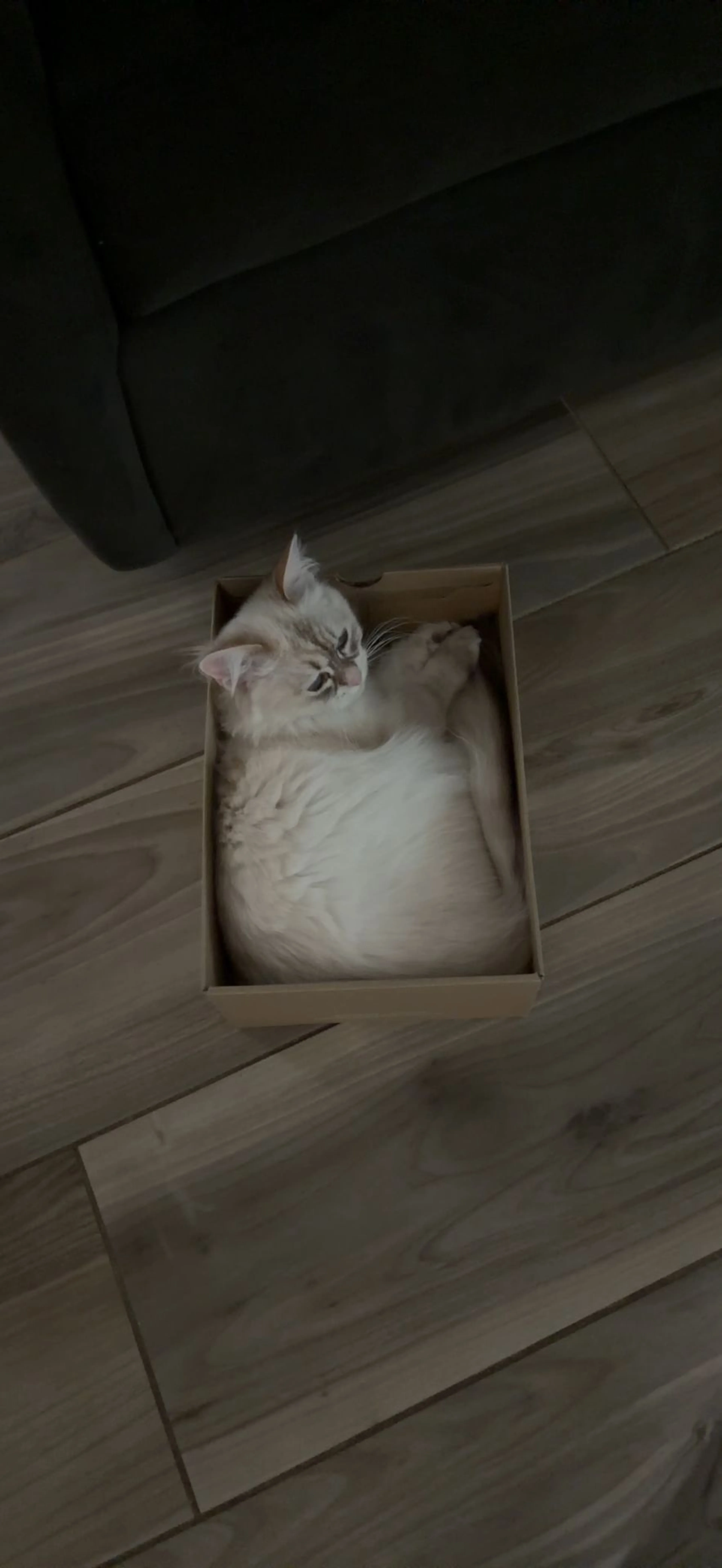 cdn image