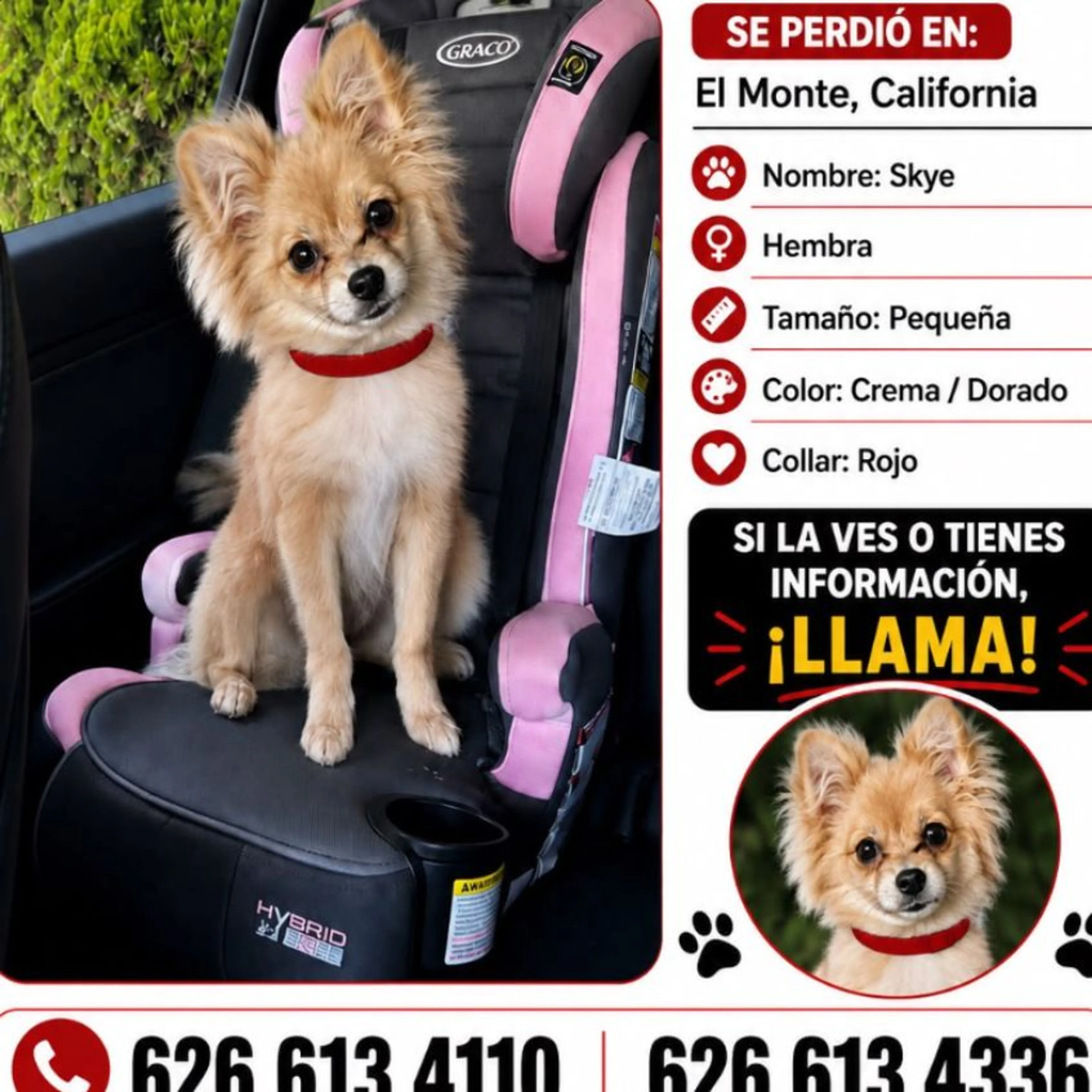 cdn image