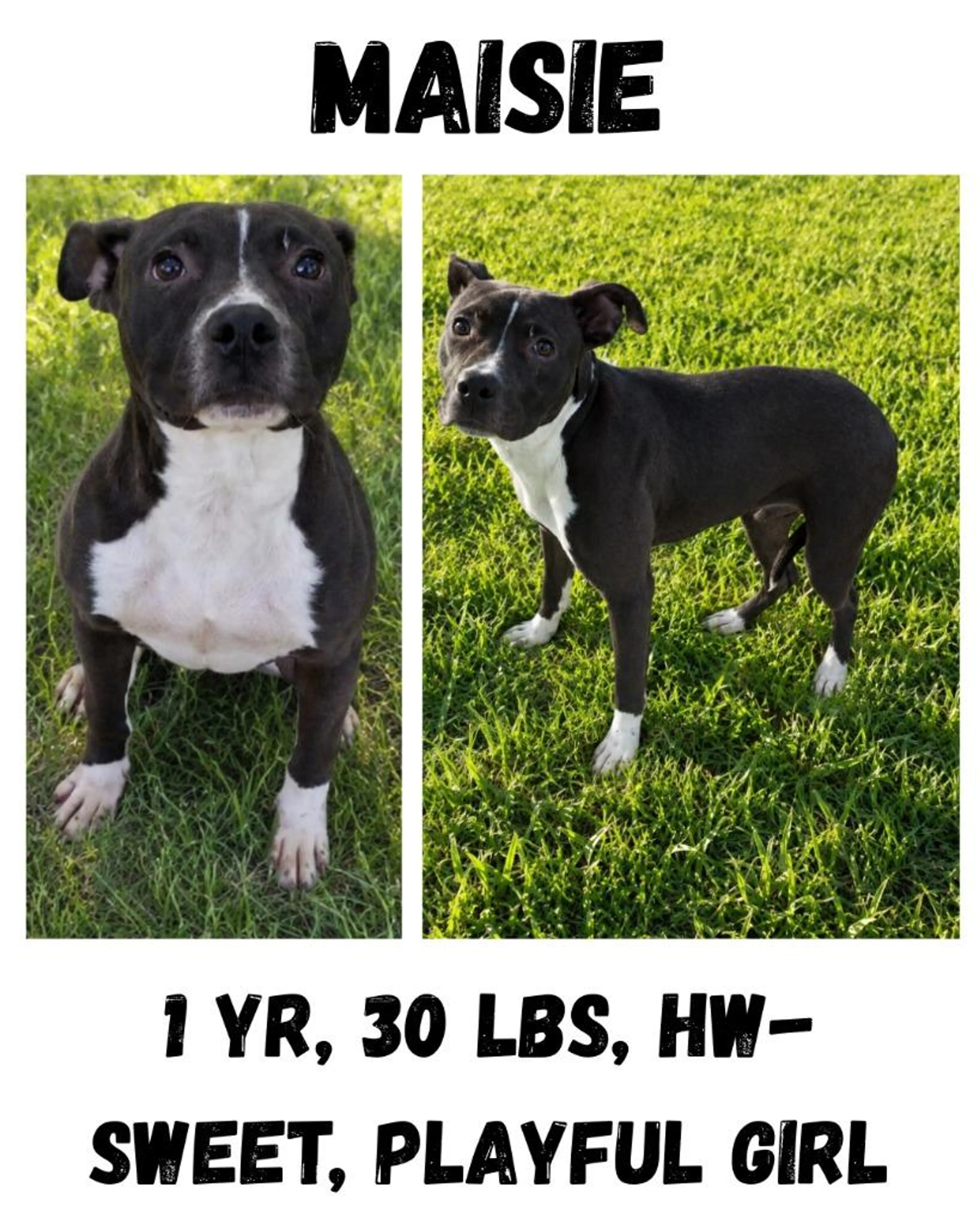 cdn image