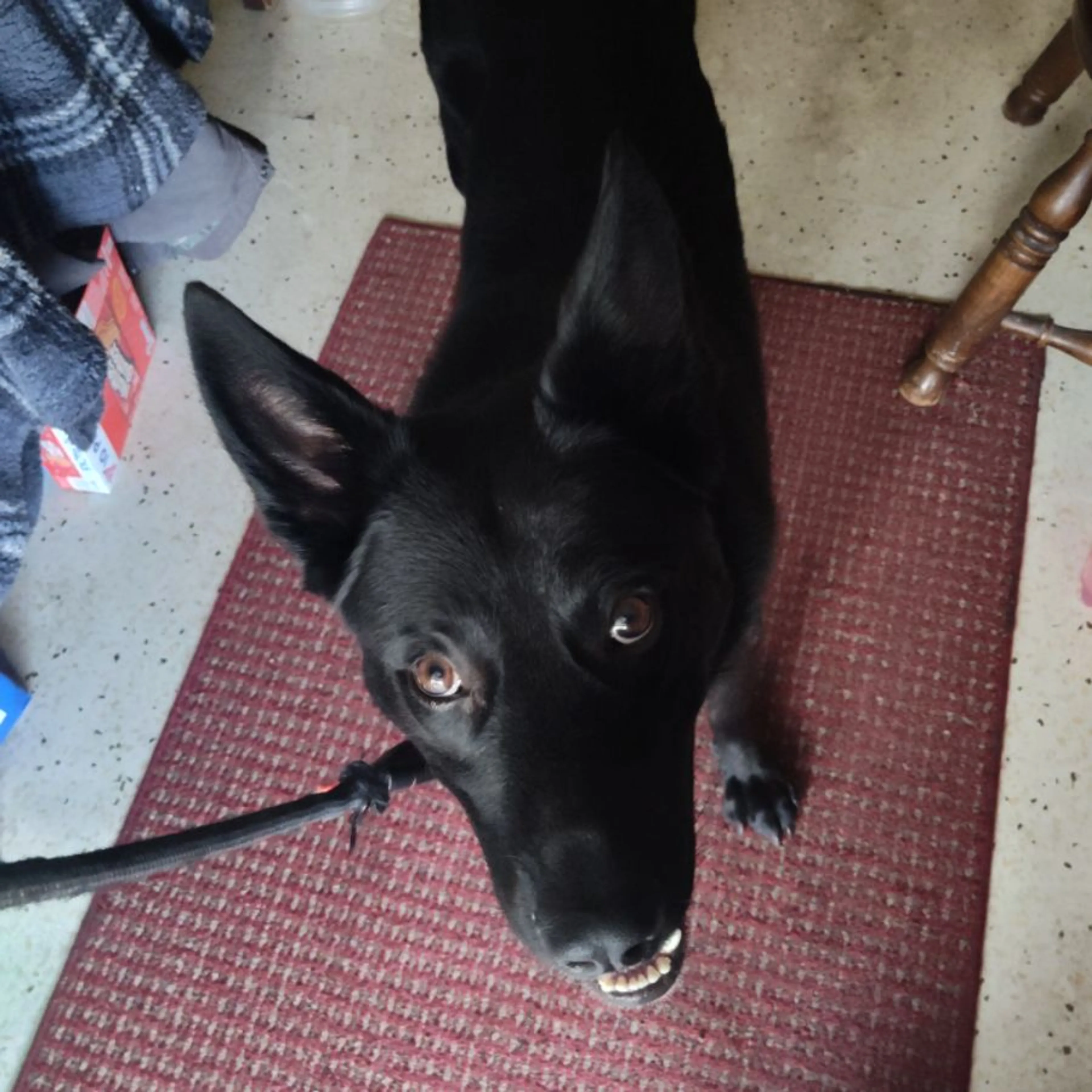 cdn image