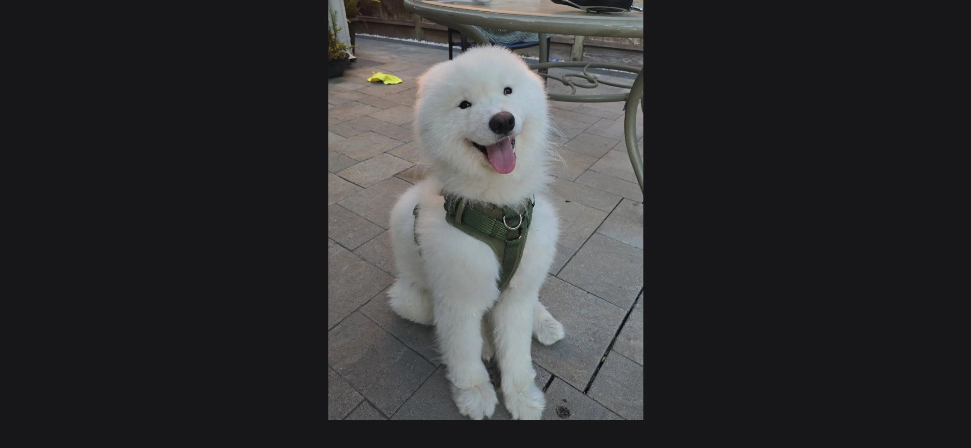 cdn image