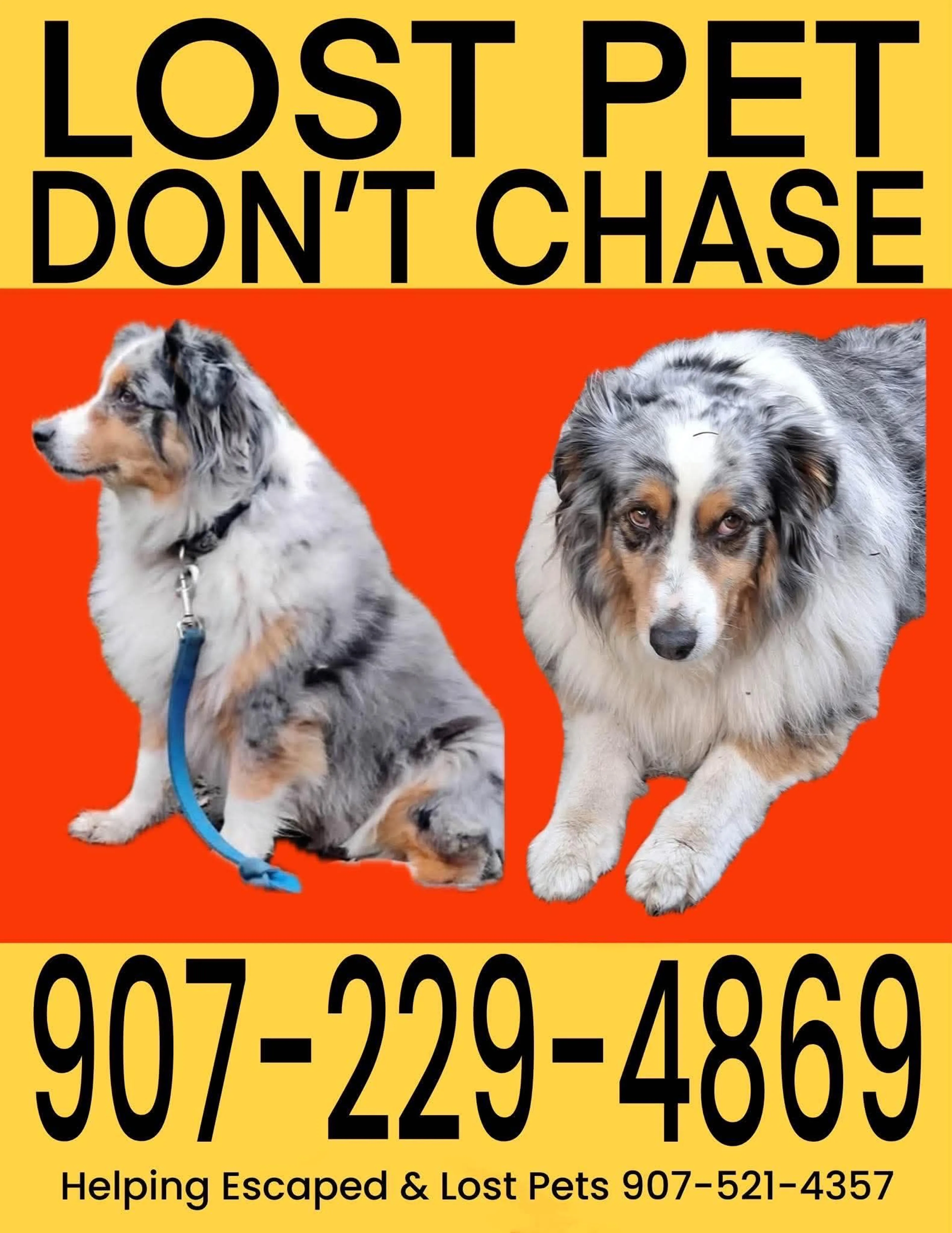 cdn image