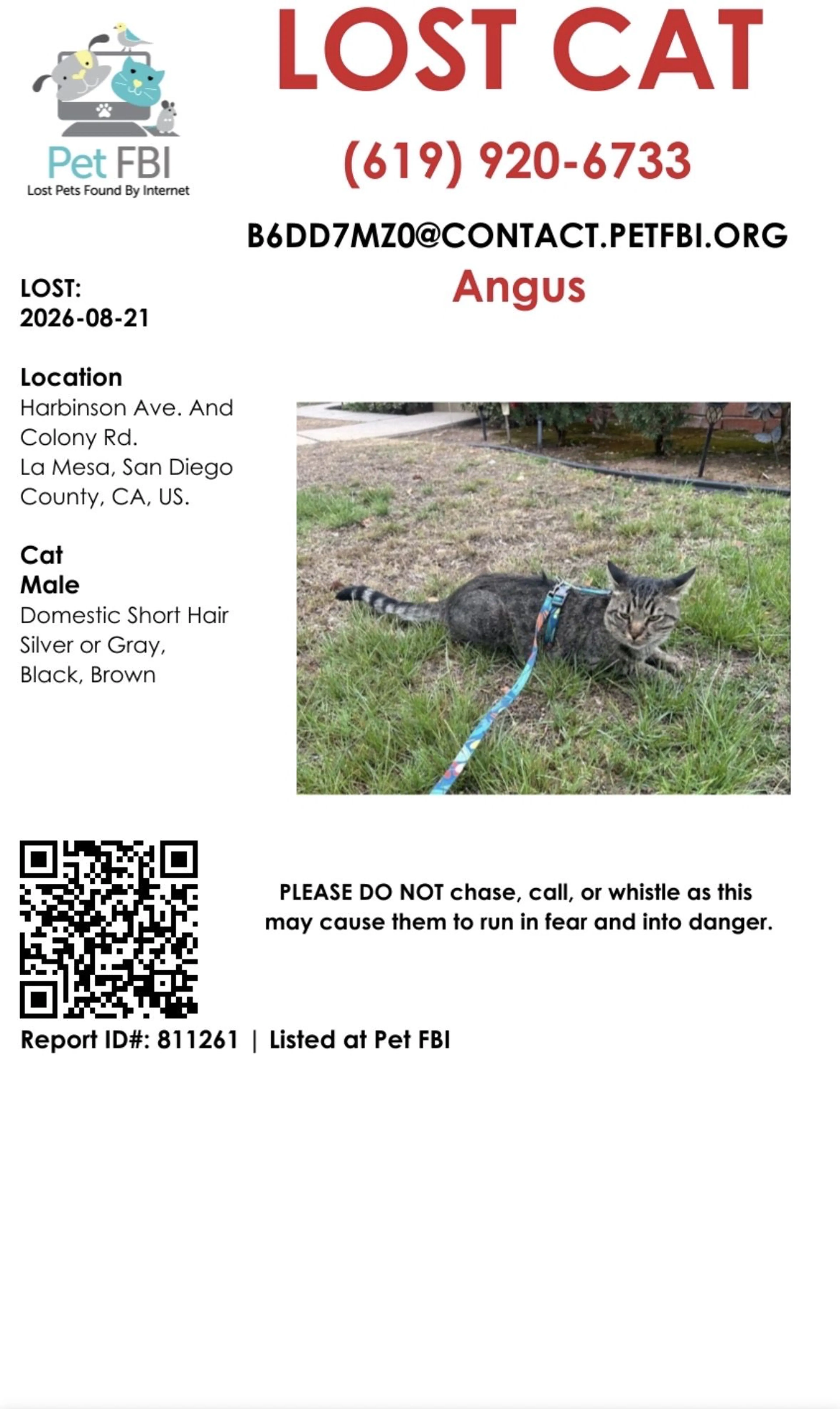 cdn image