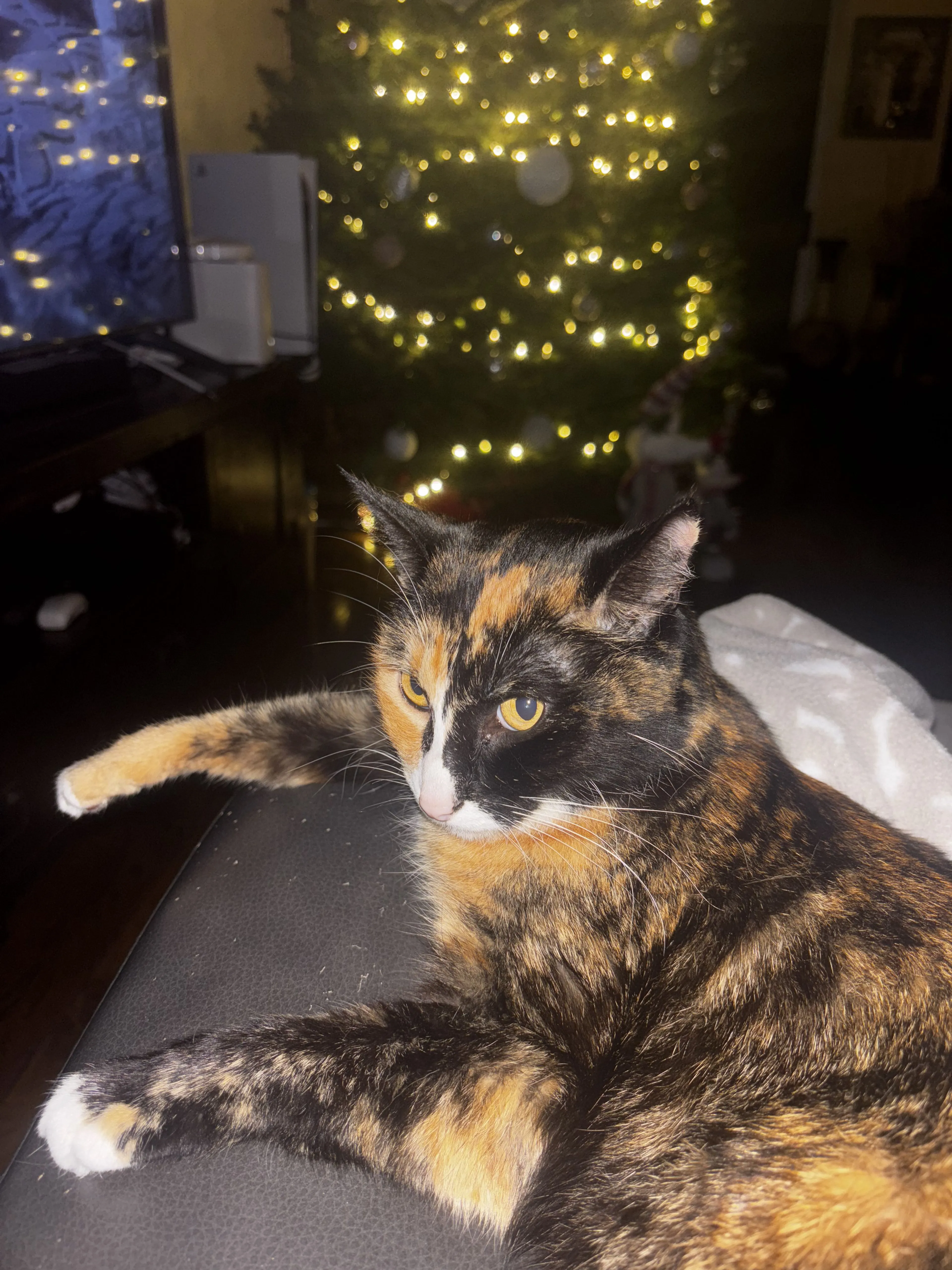 cdn image