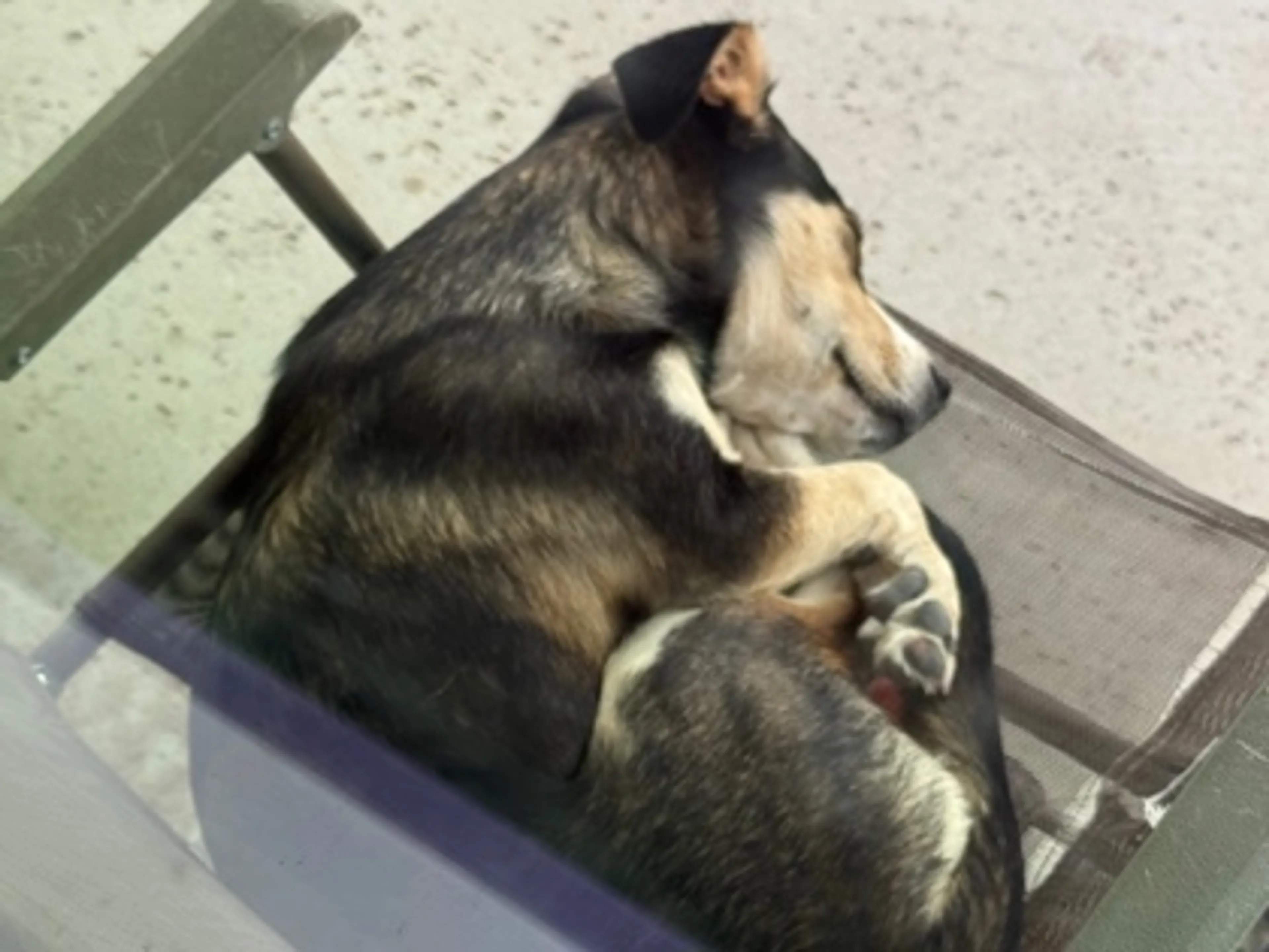 cdn image