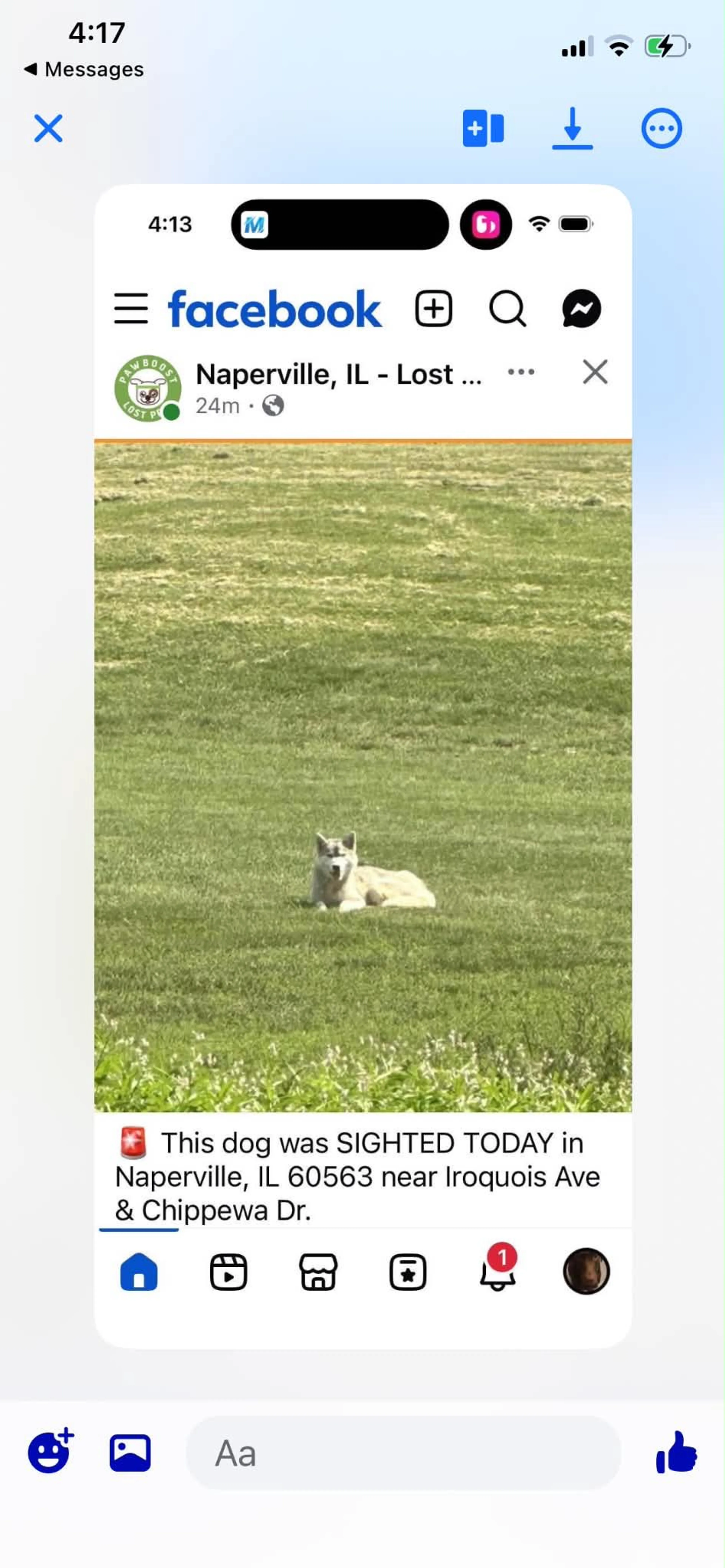 cdn image