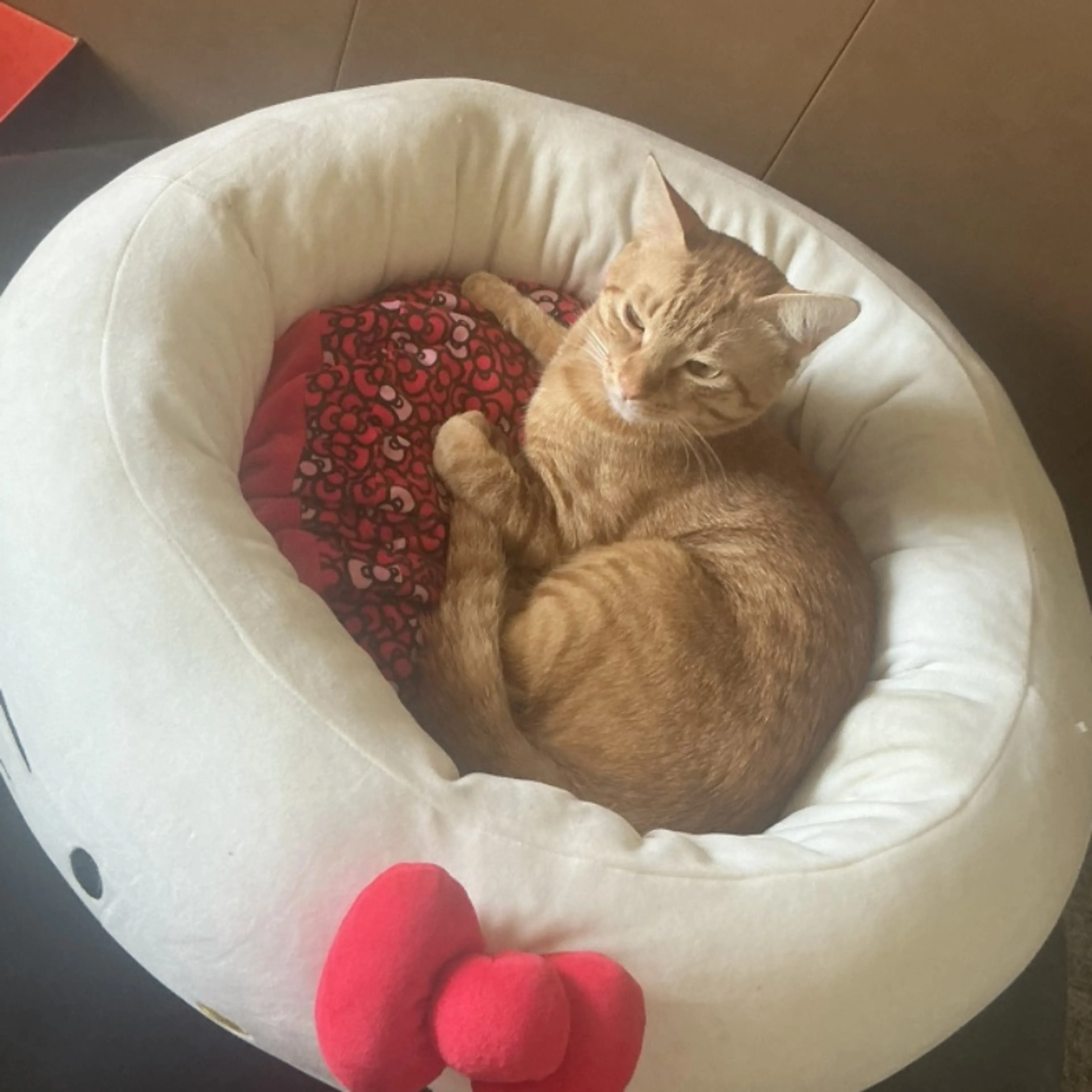 cdn image