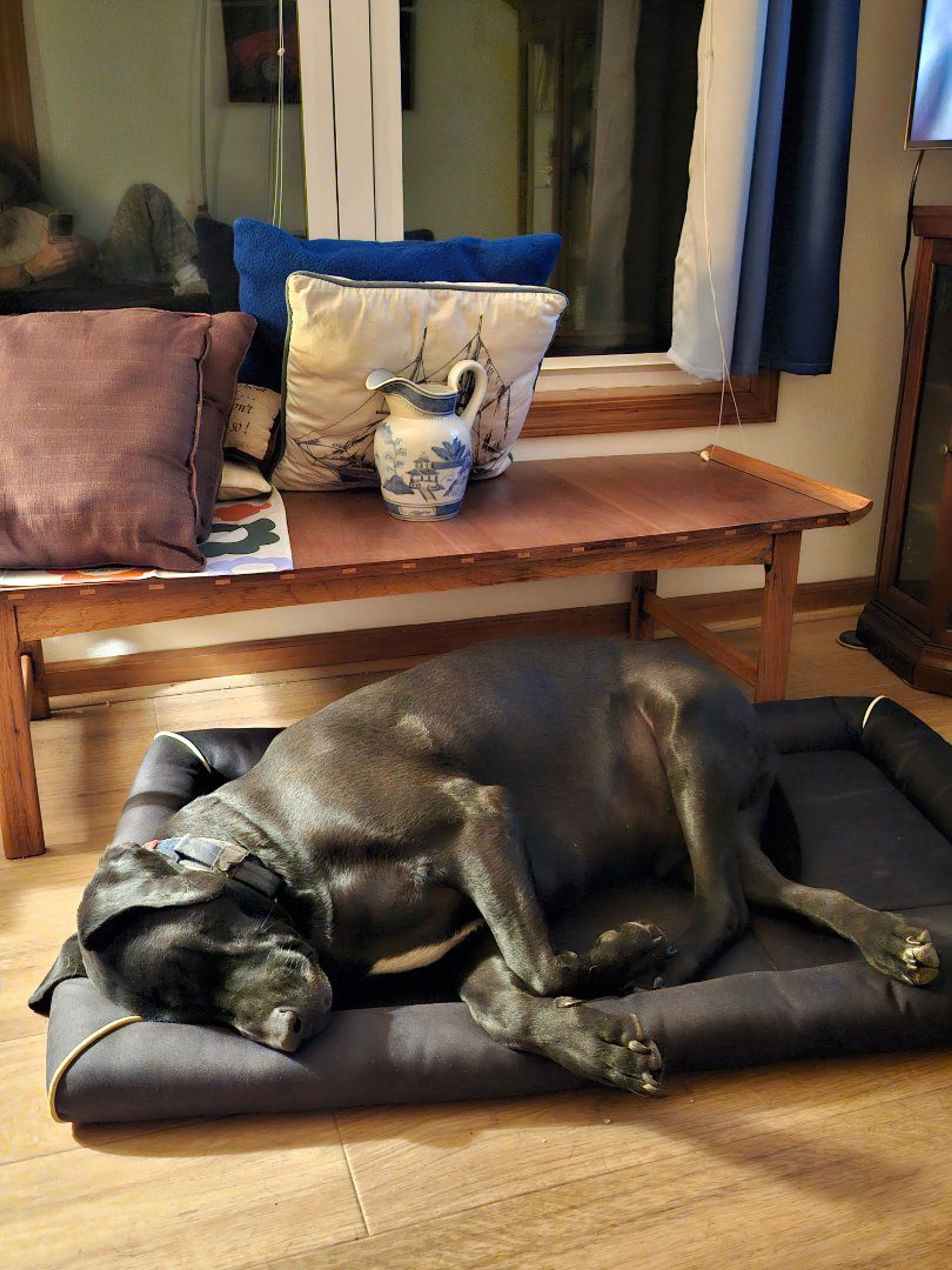cdn image