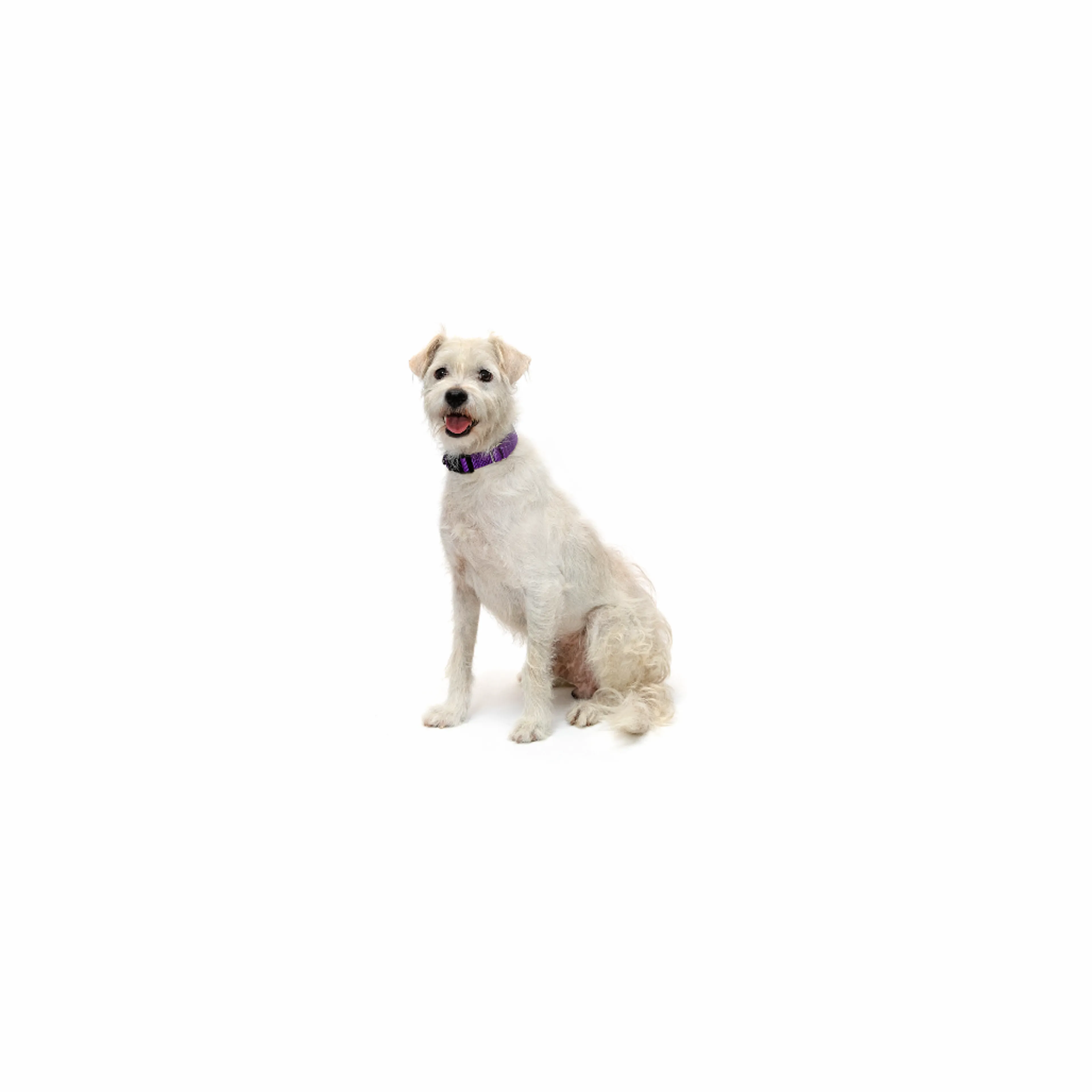 cdn image