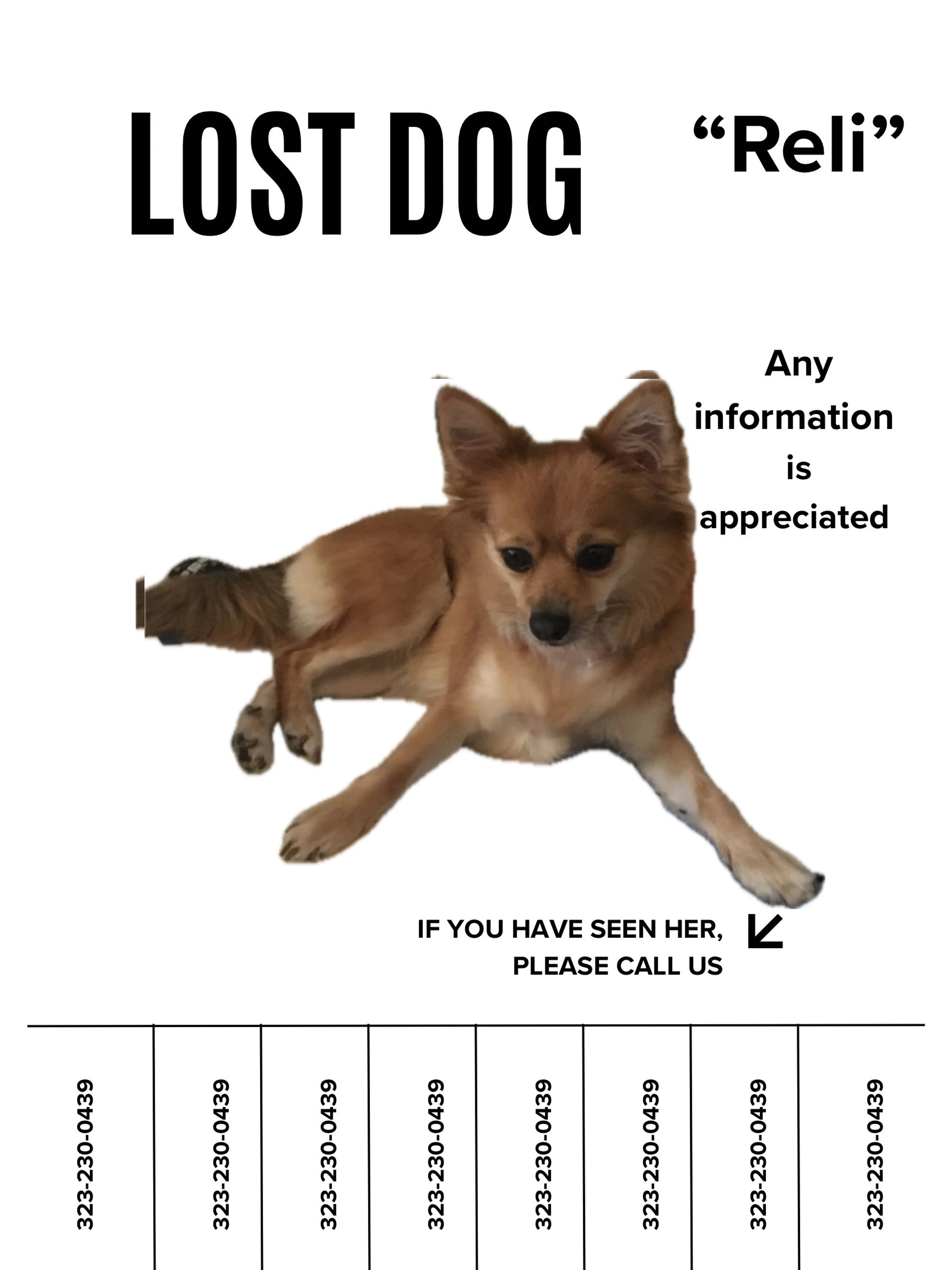 cdn image