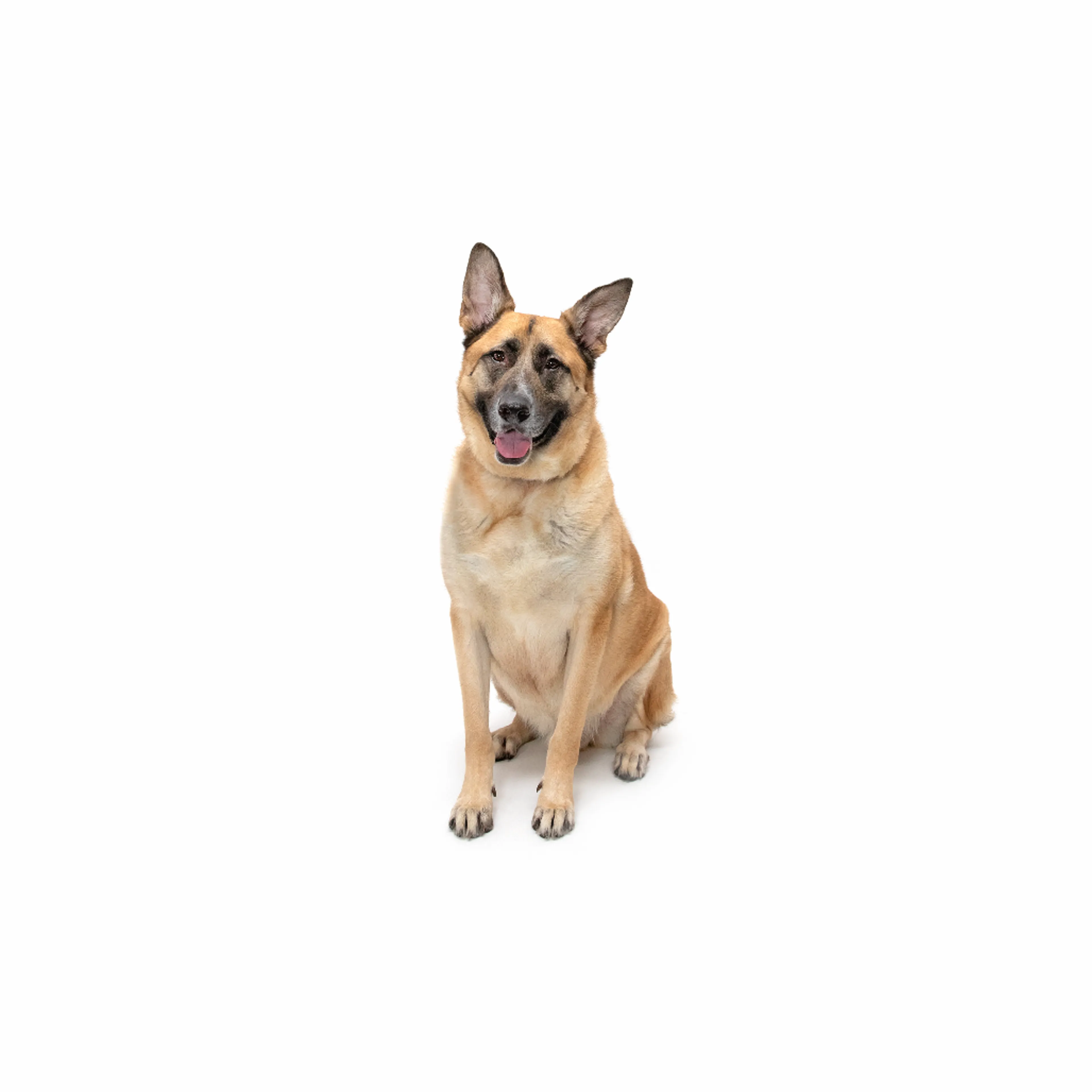 cdn image