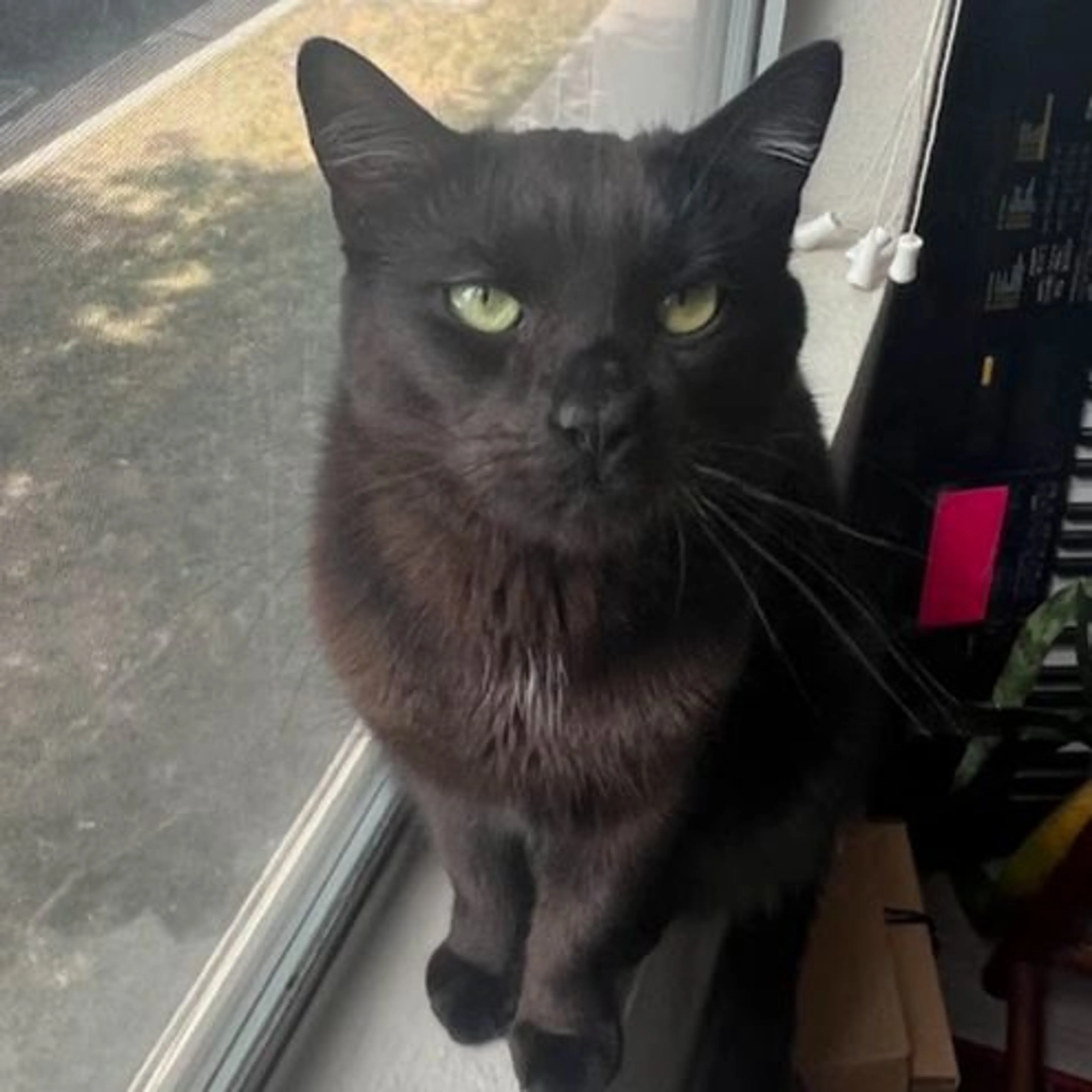 cdn image