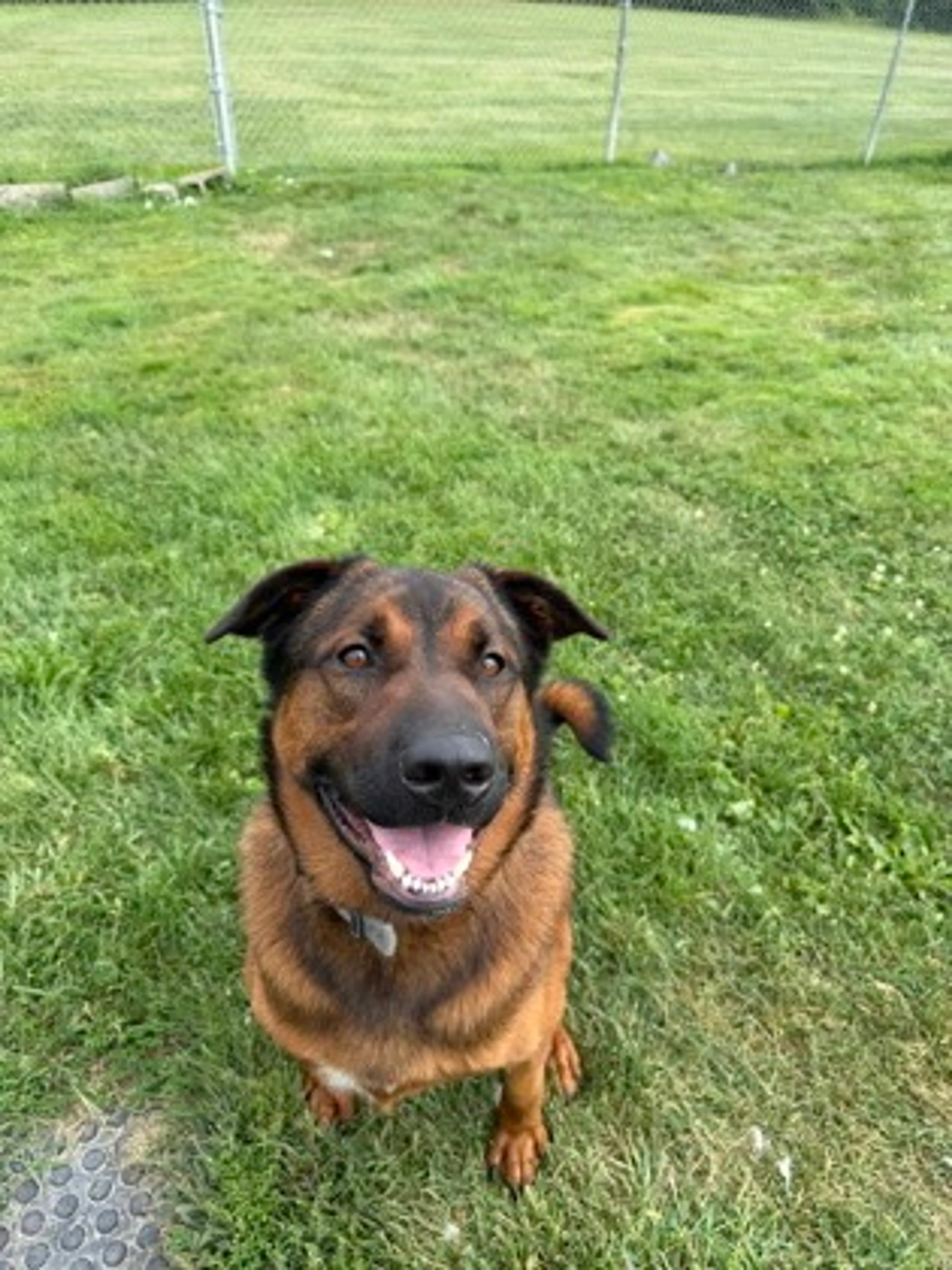 cdn image