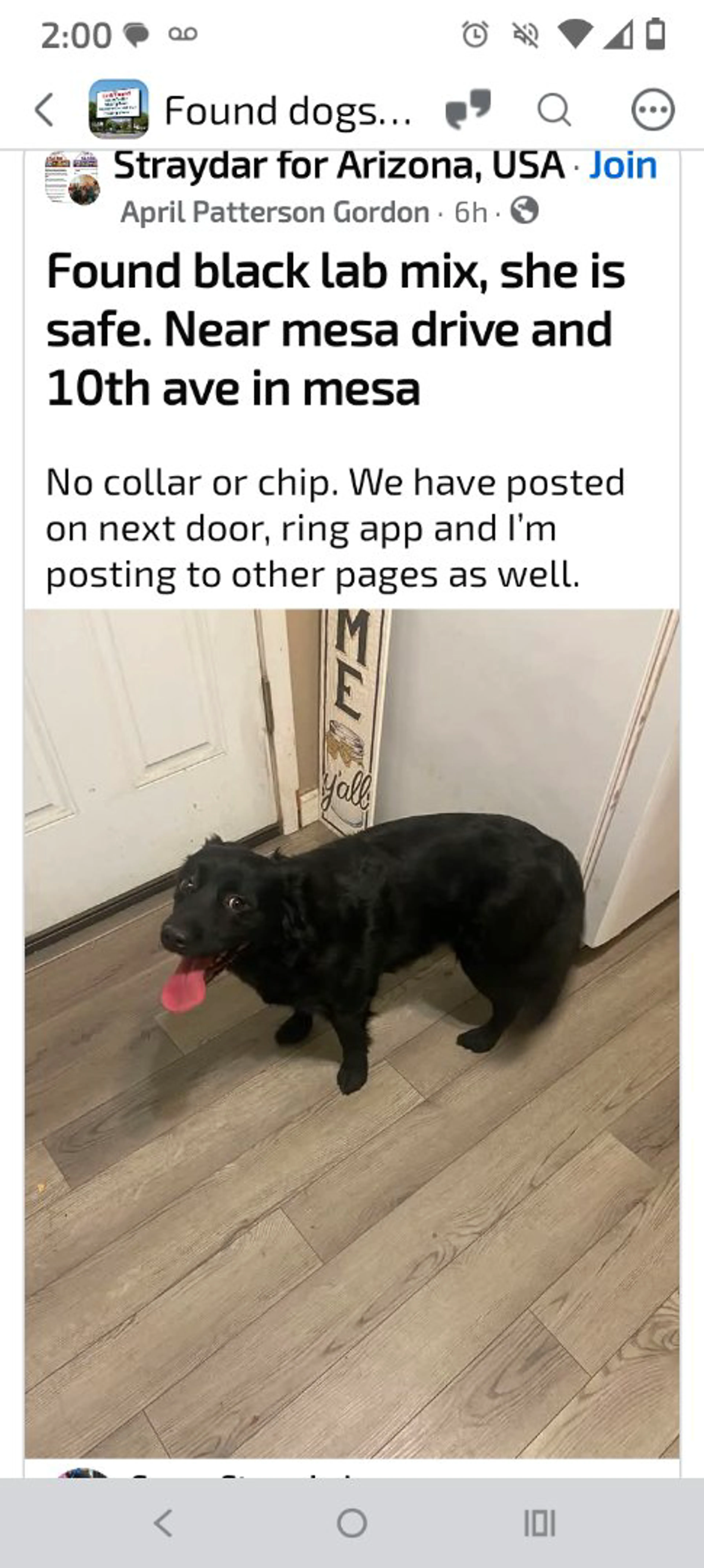 cdn image