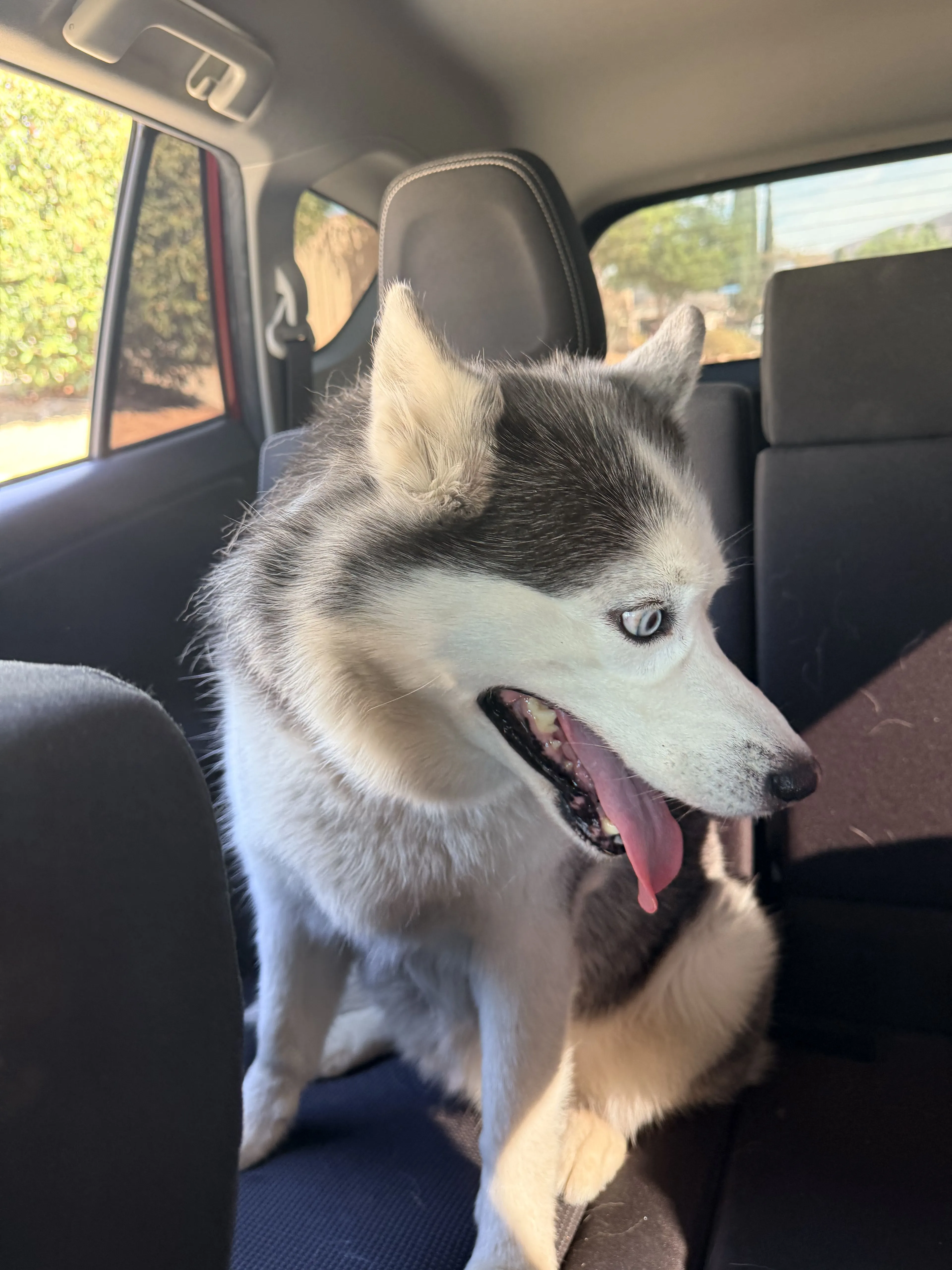 cdn image