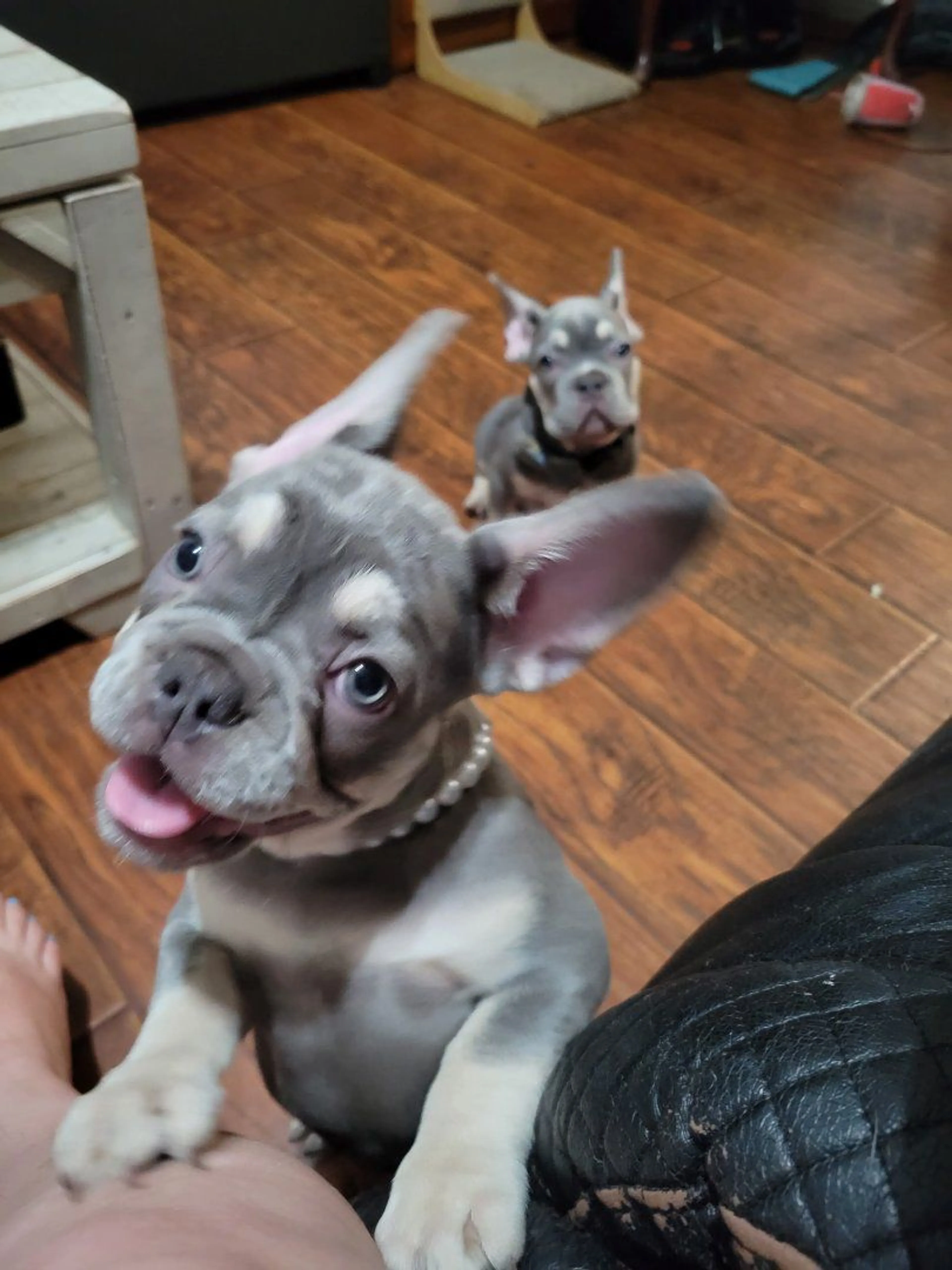 cdn image