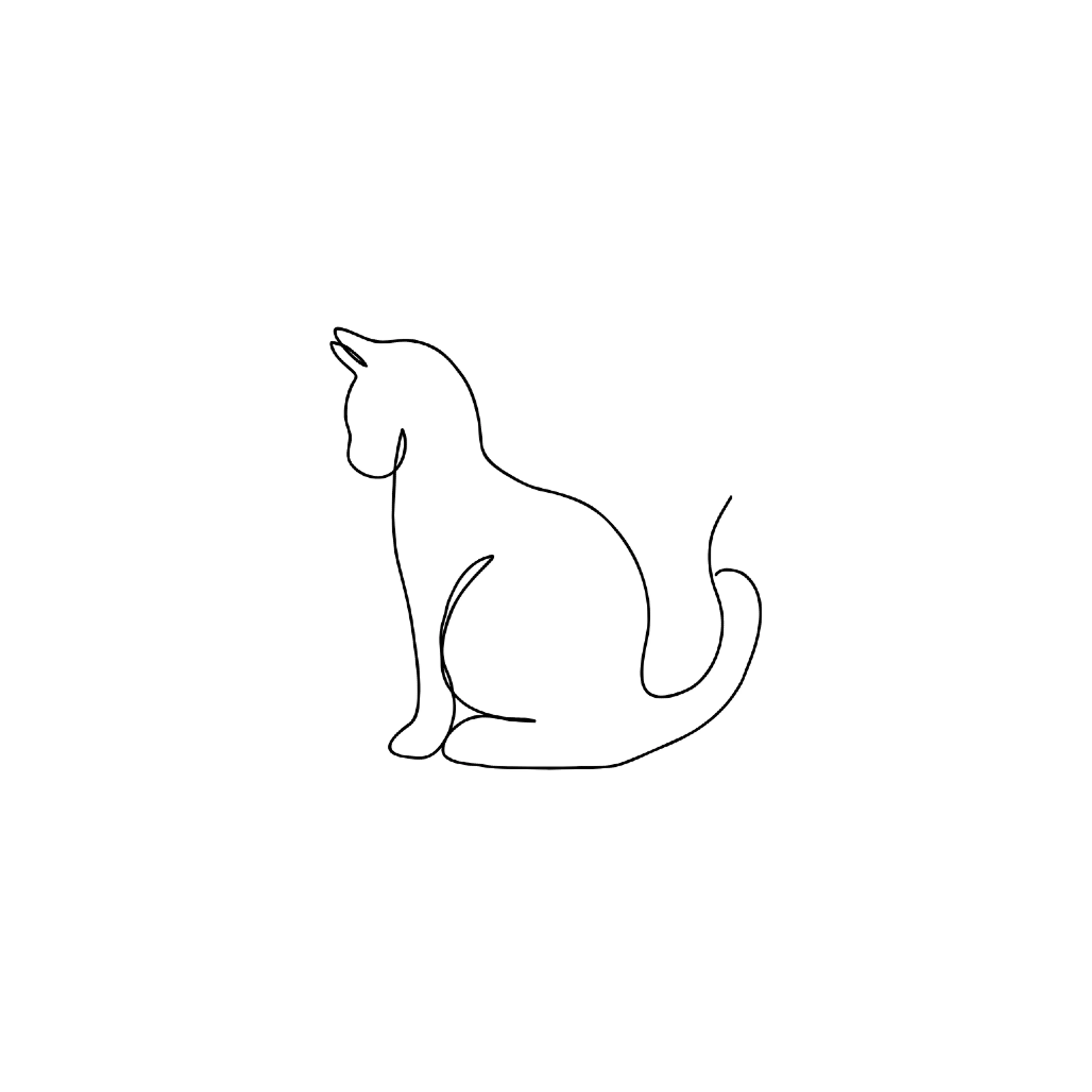 cdn image