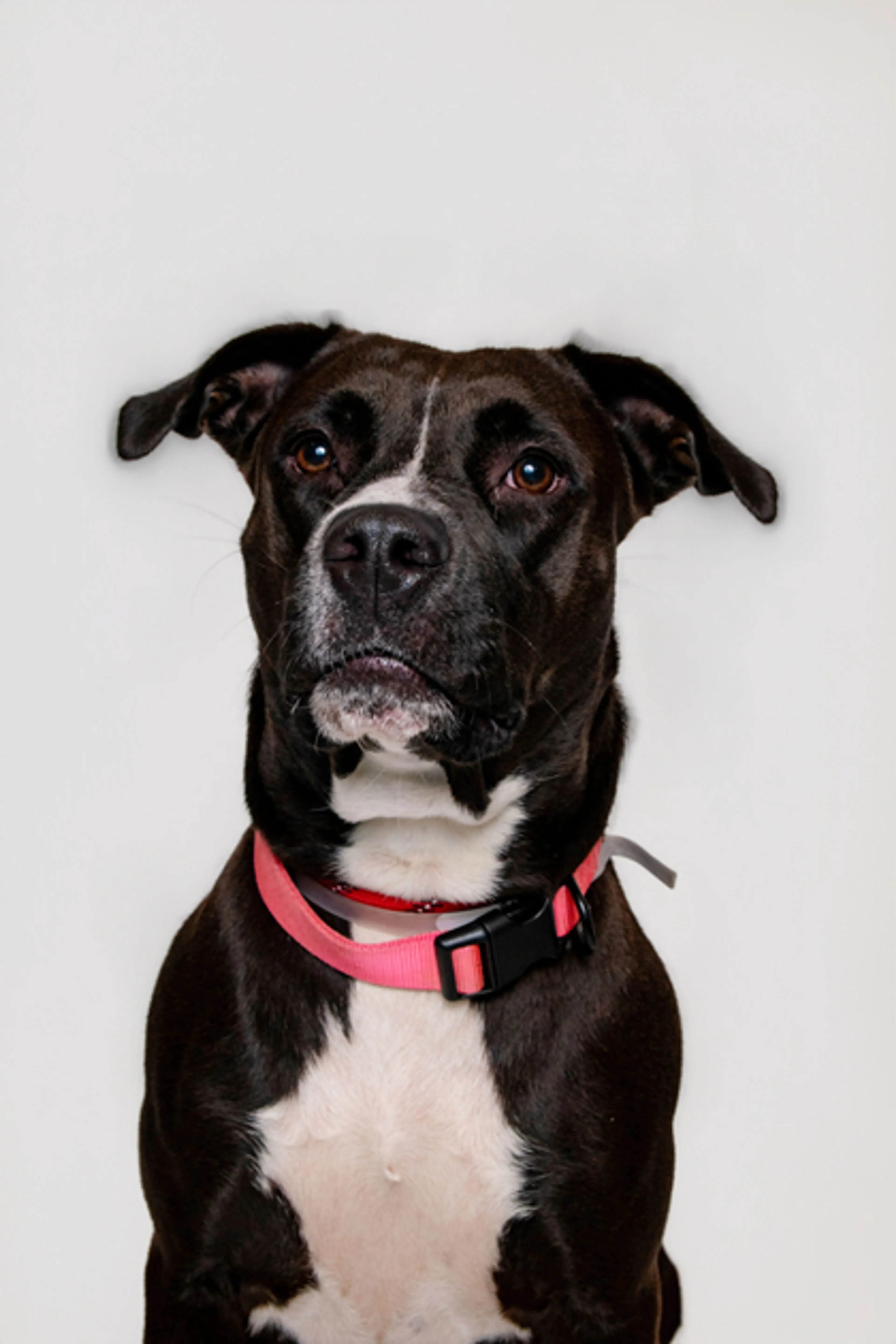 cdn image