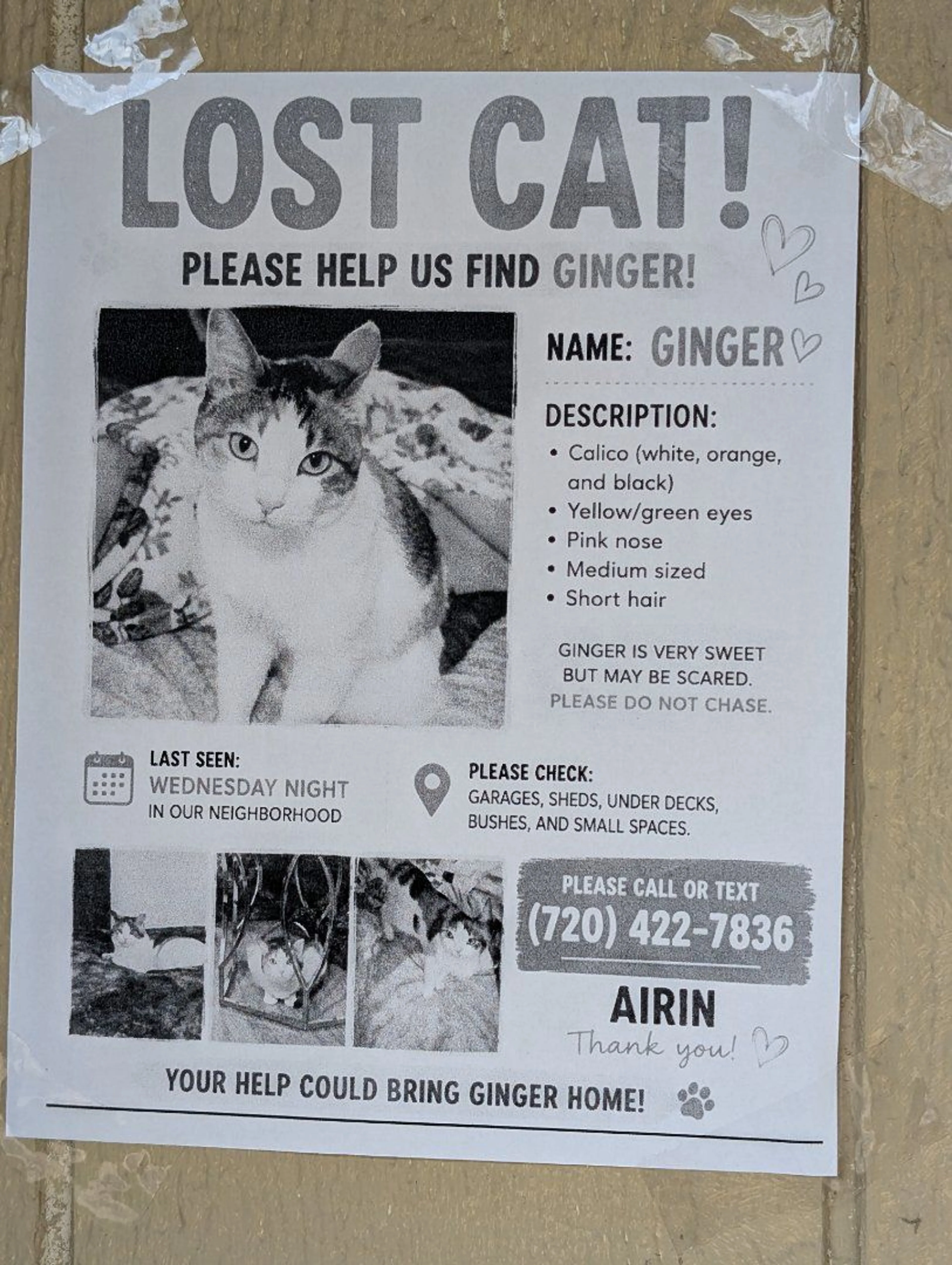 cdn image