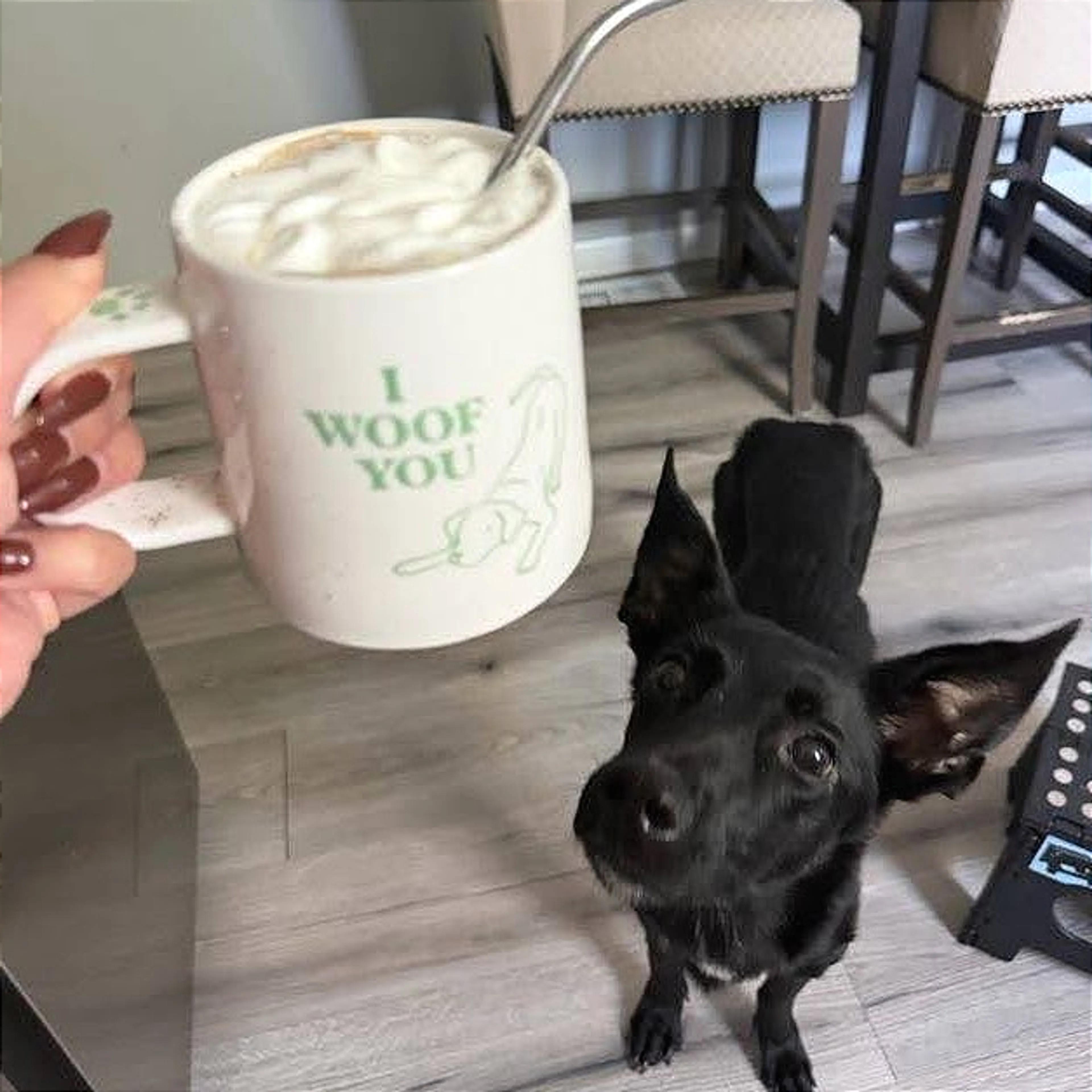 cdn image