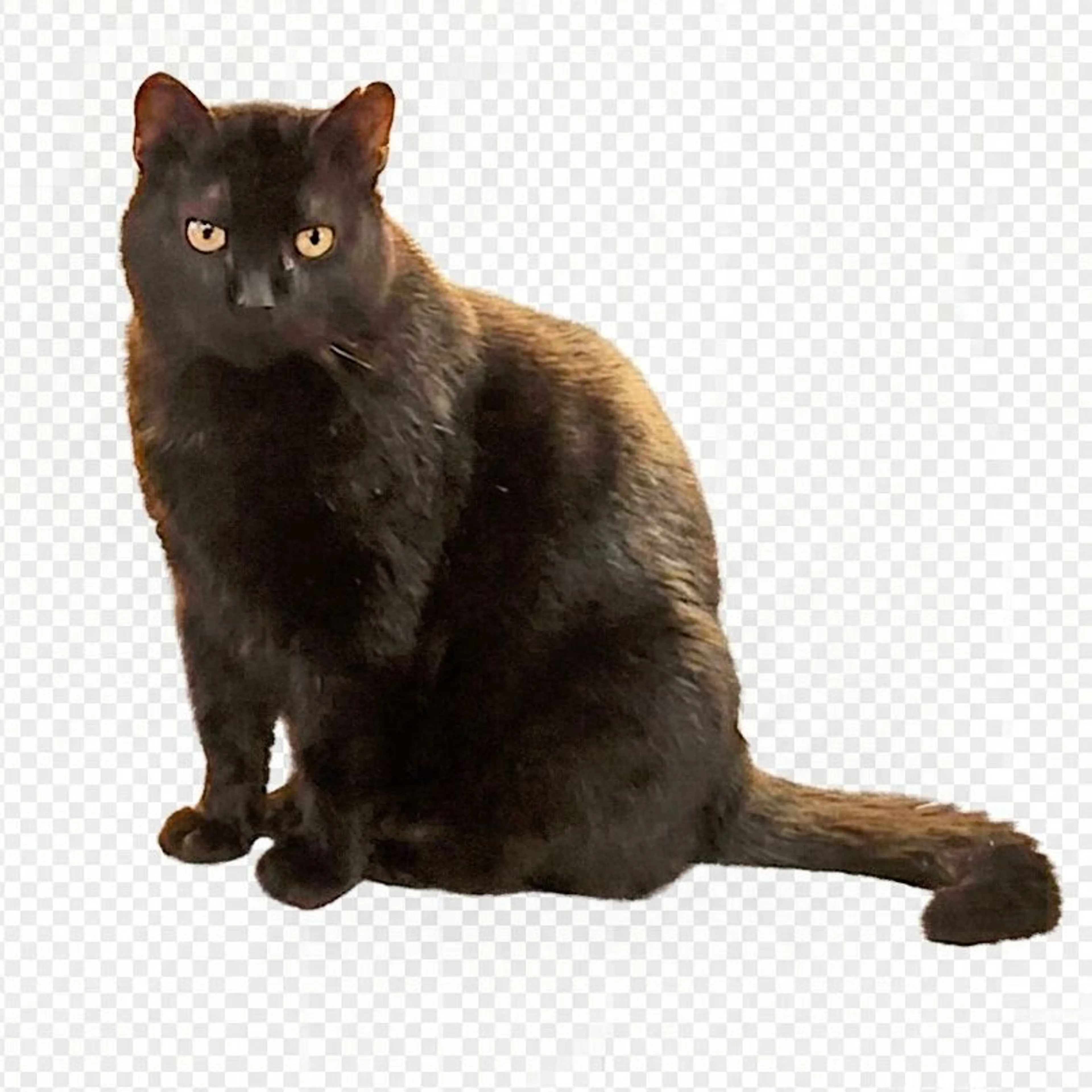 cdn image