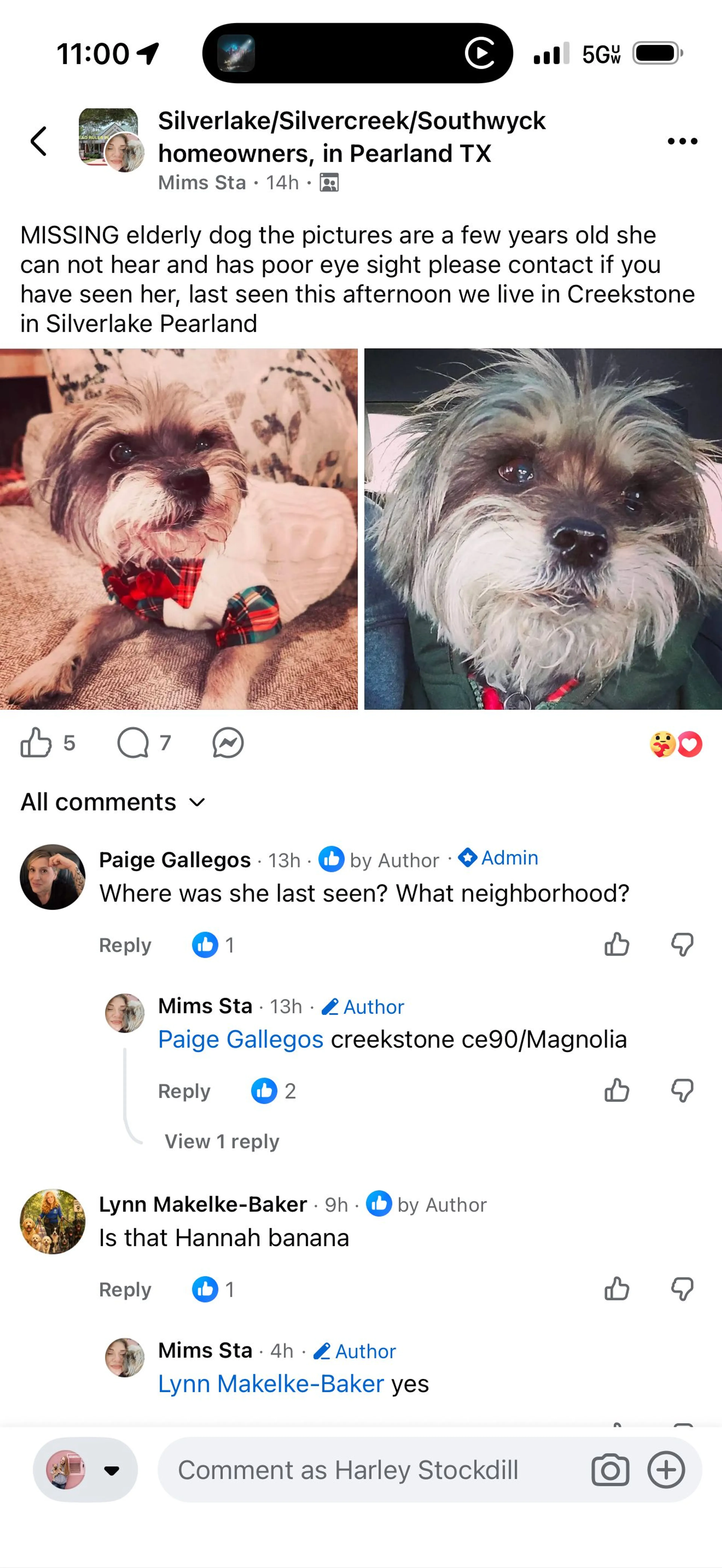 cdn image