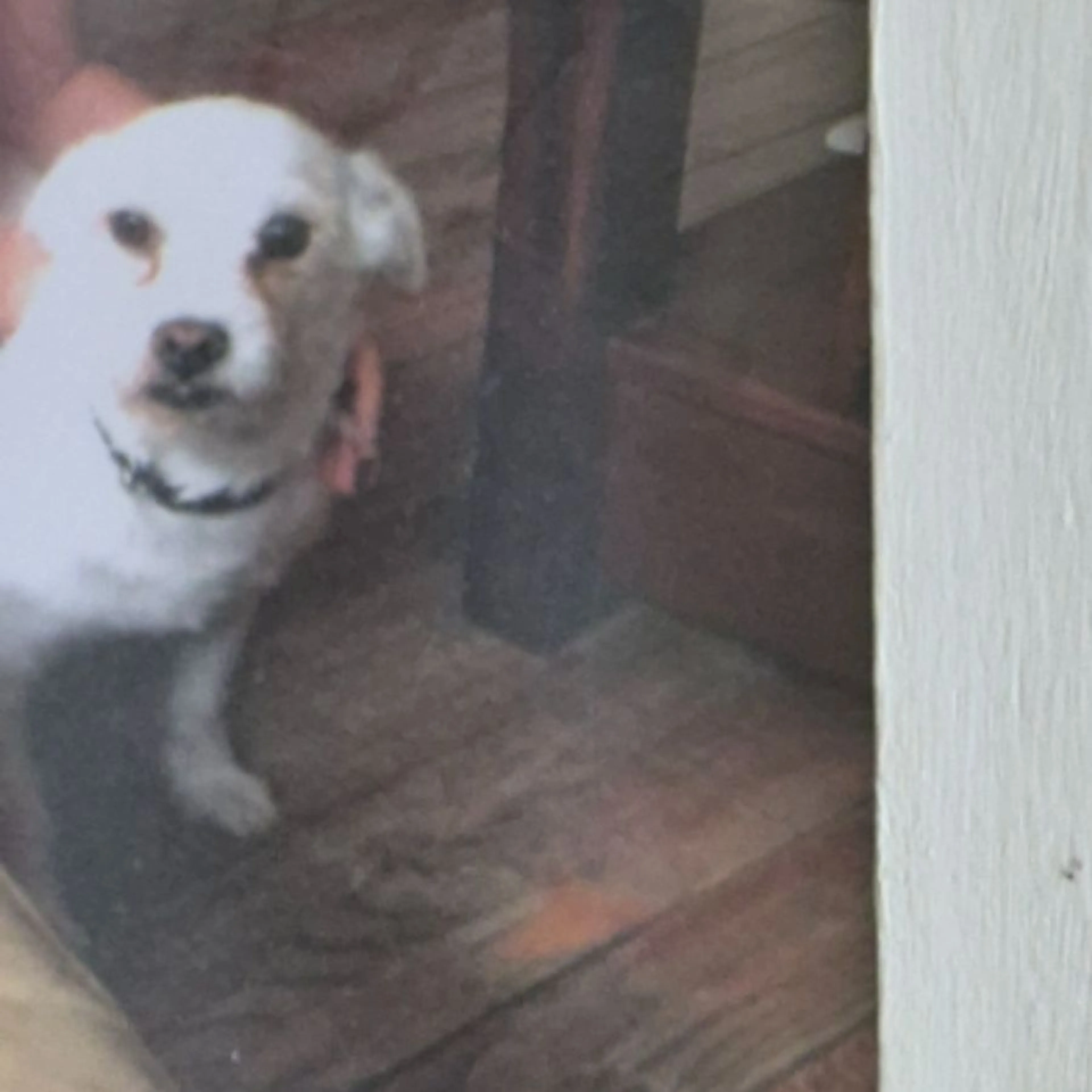 cdn image