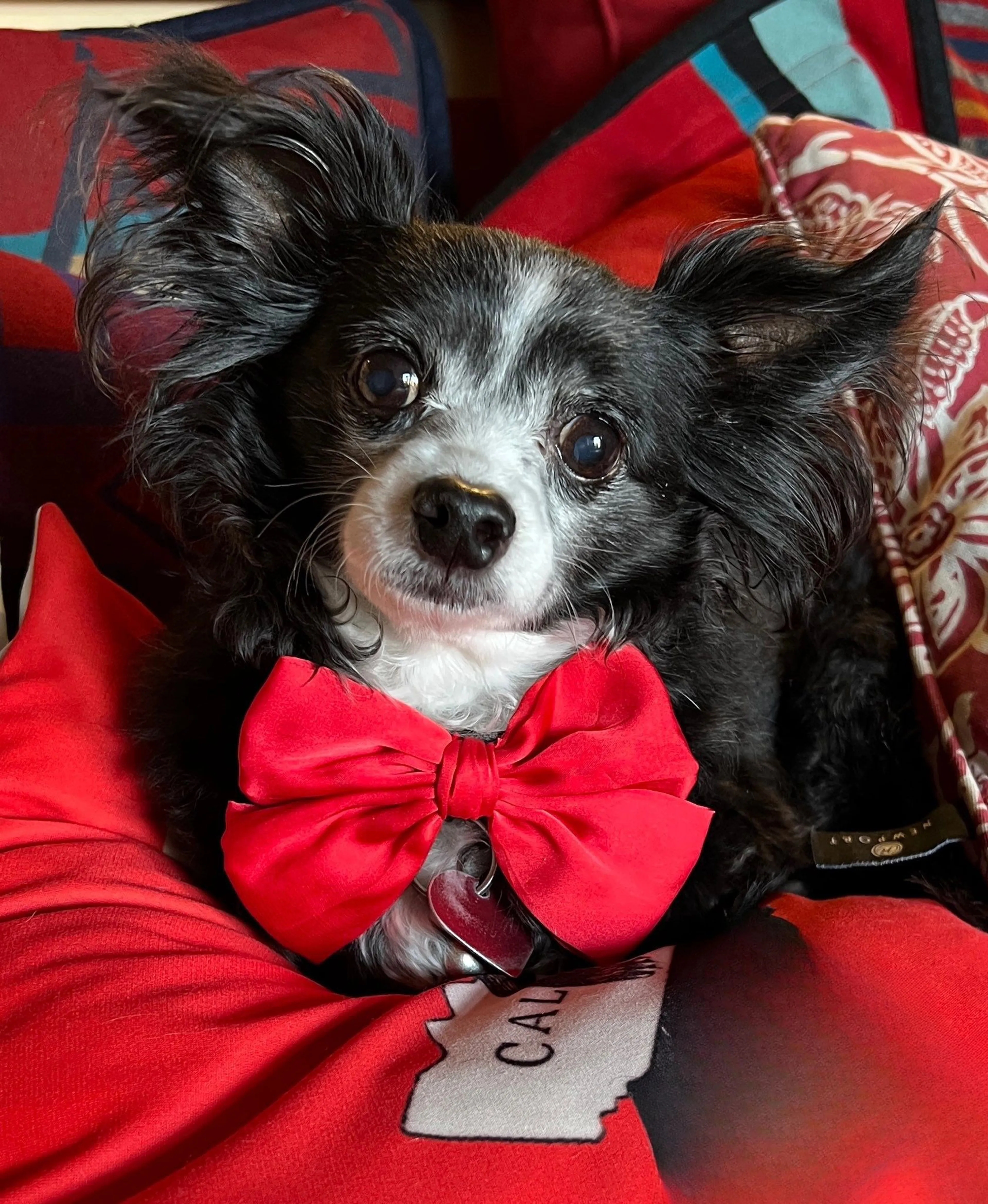 cdn image