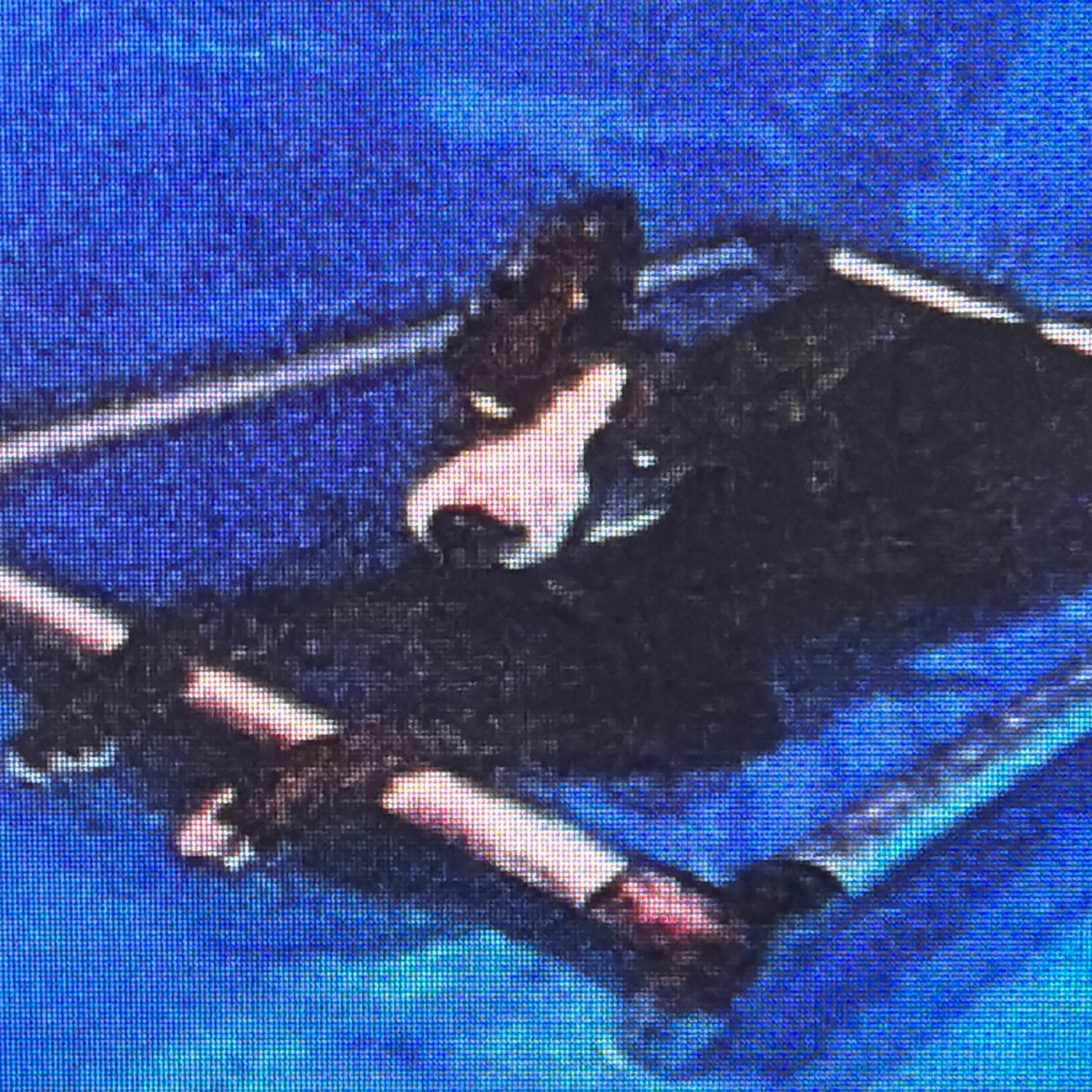 cdn image