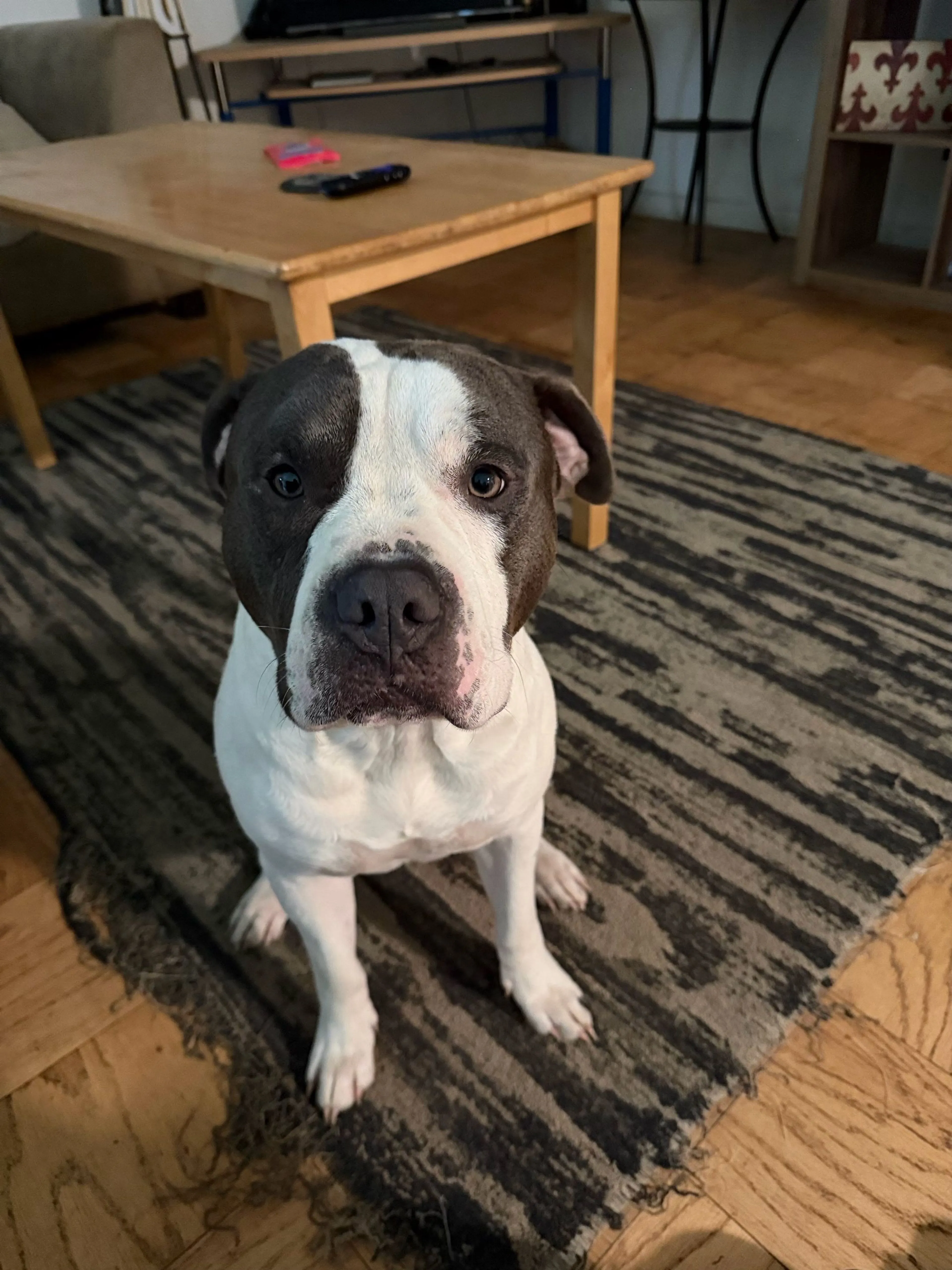 cdn image