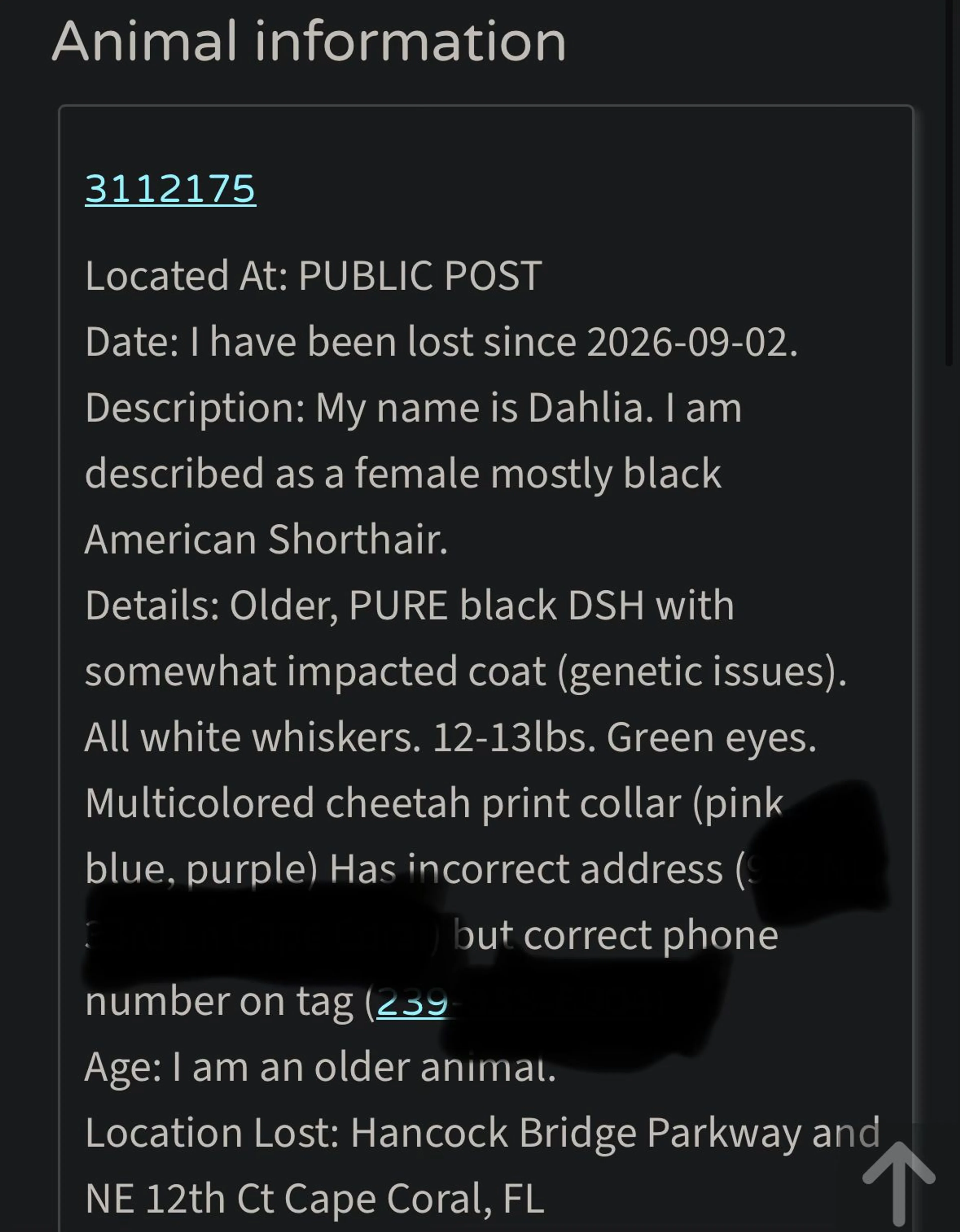 cdn image