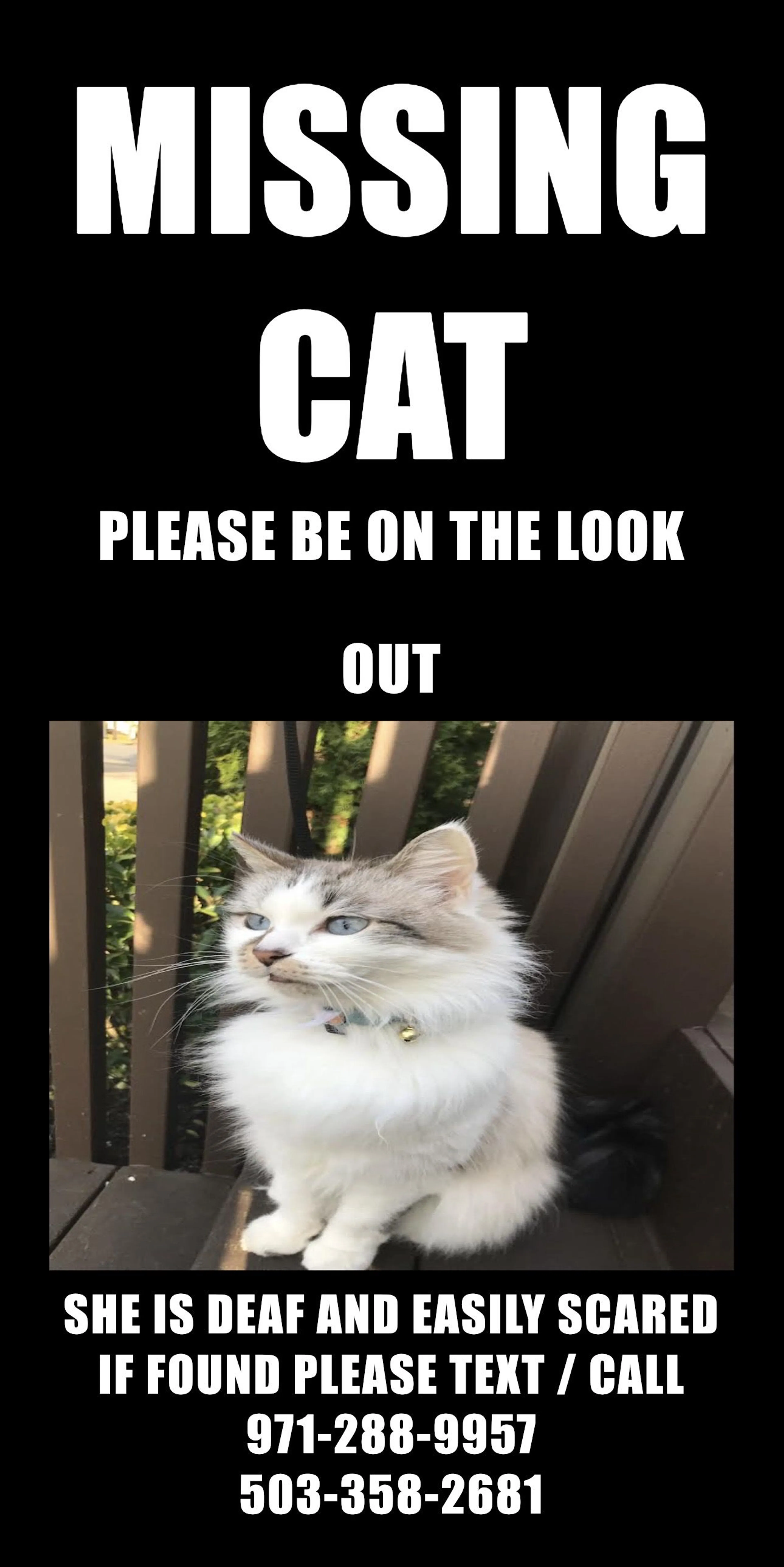 cdn image