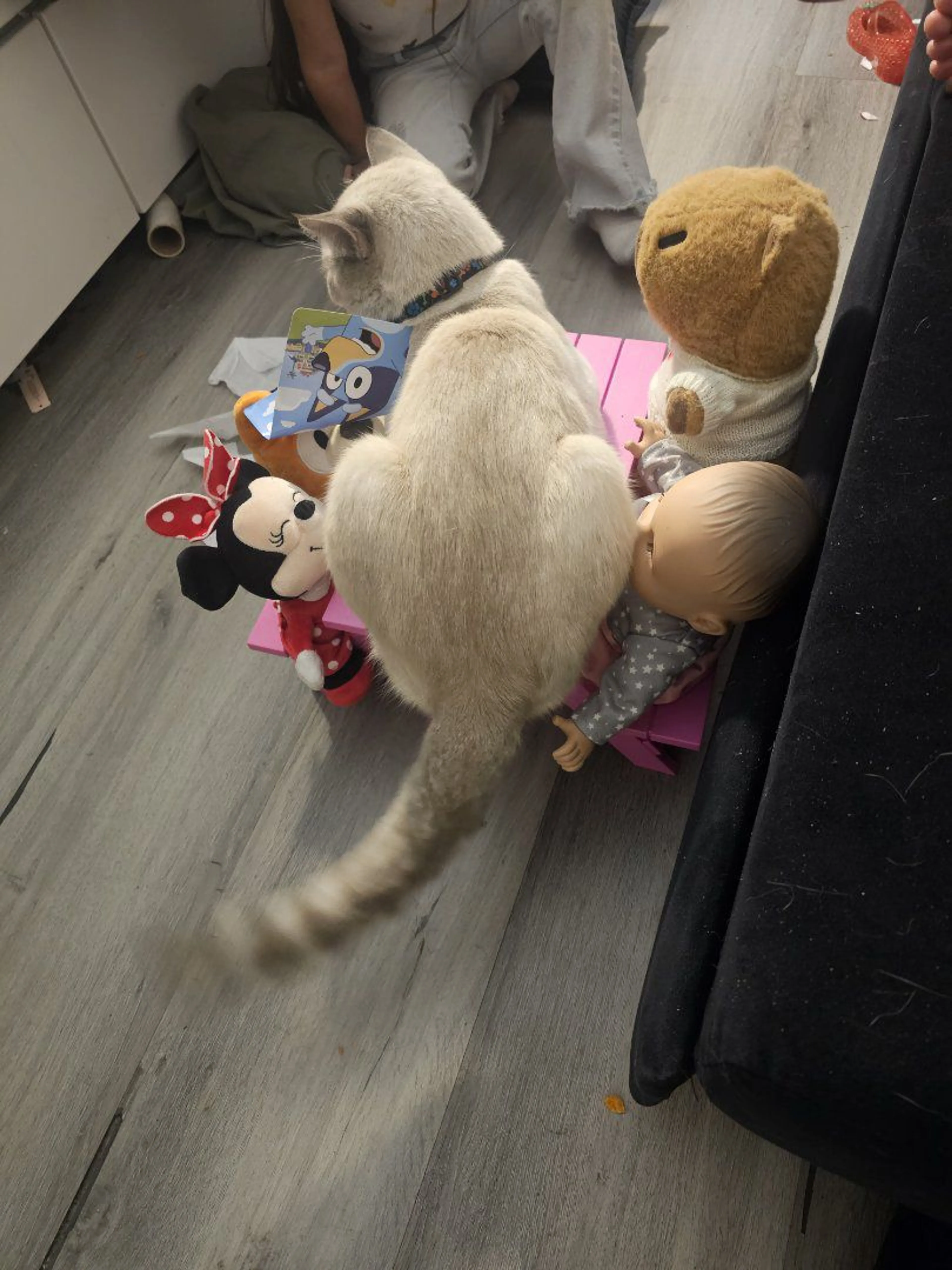 cdn image