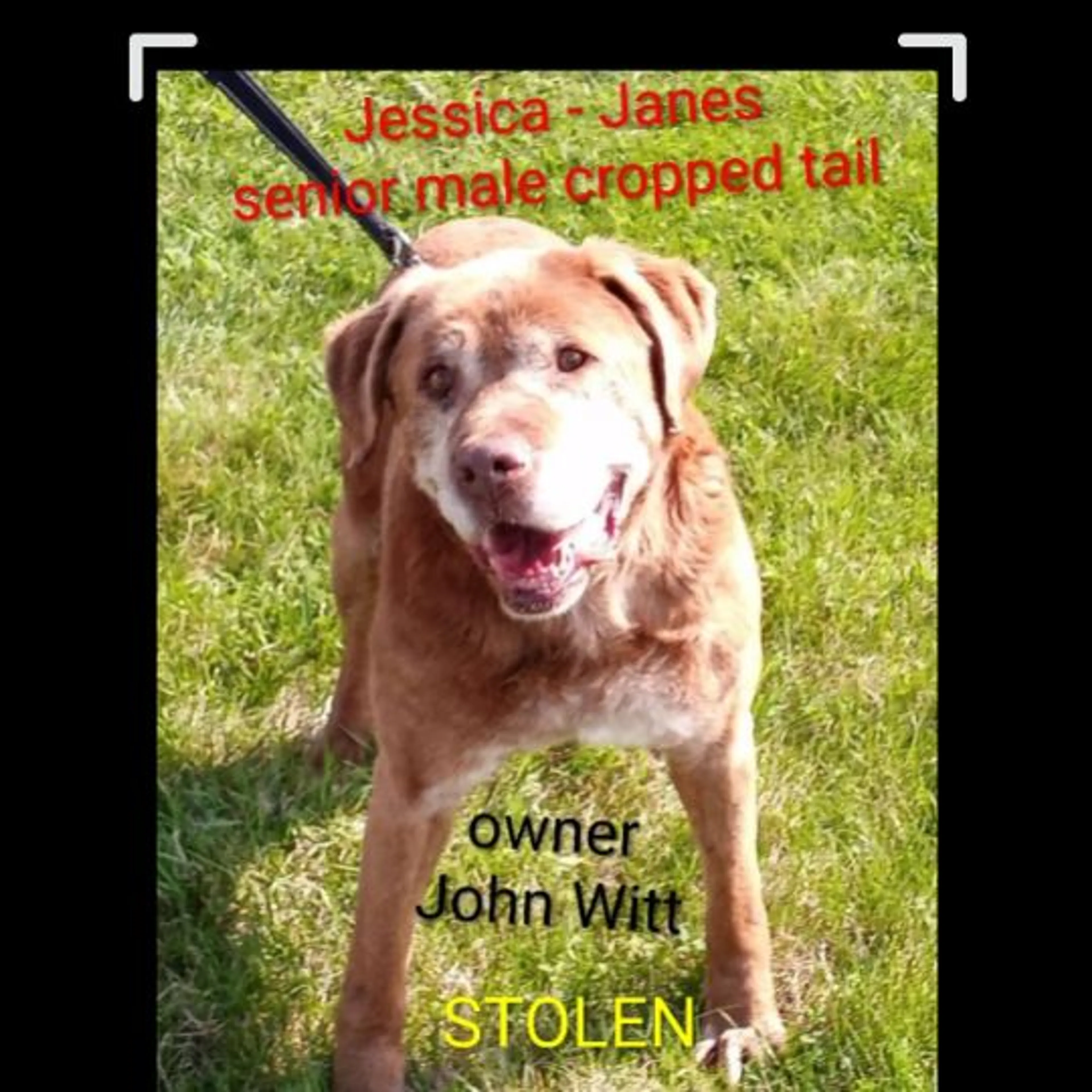 cdn image