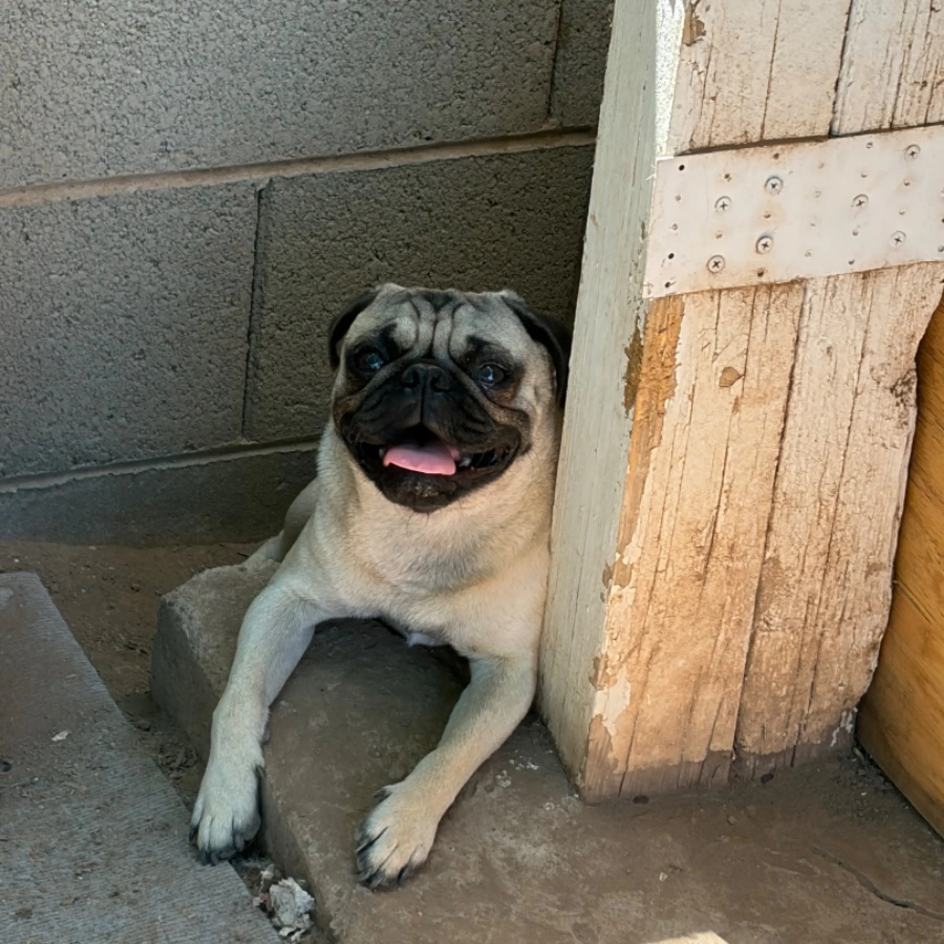 cdn image