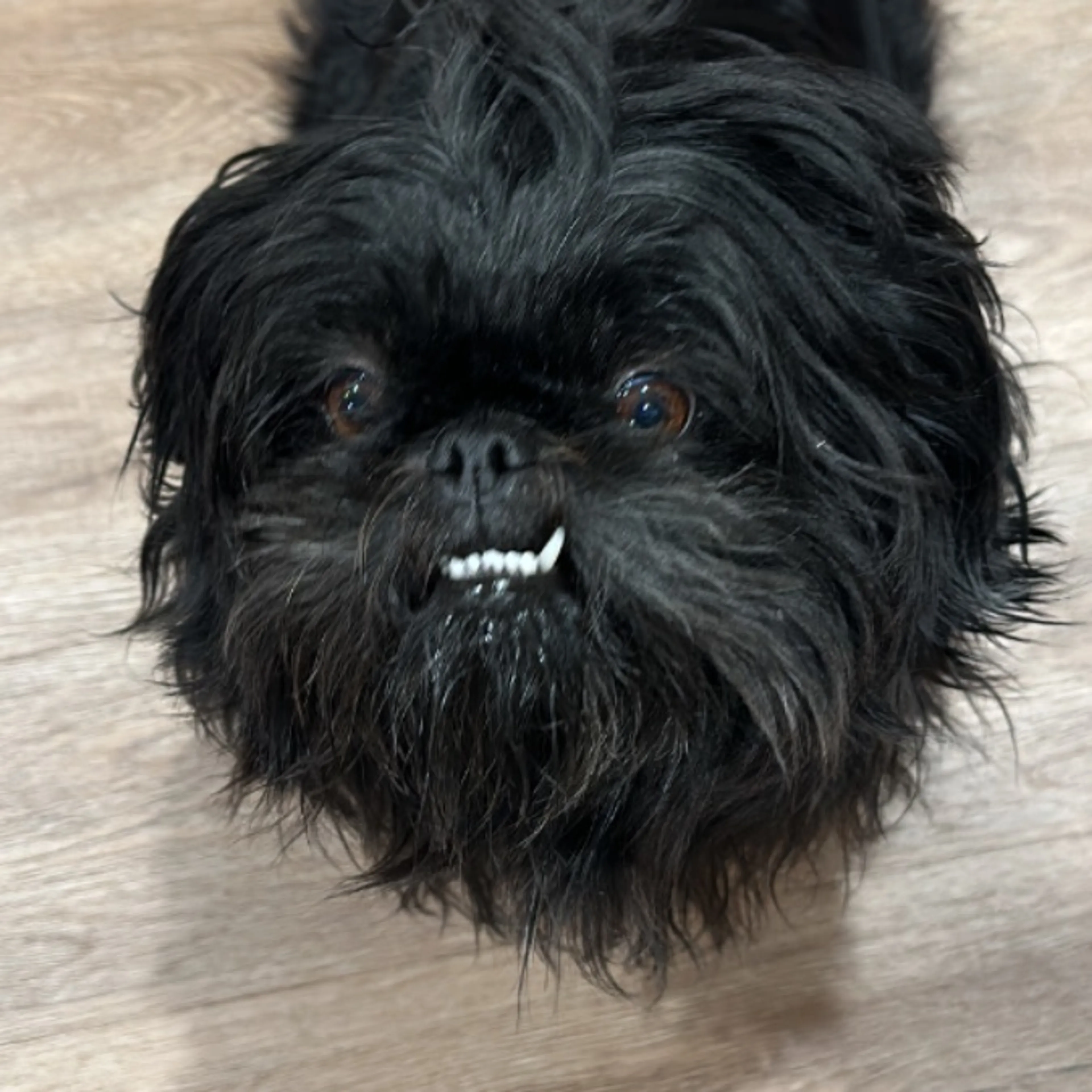 cdn image