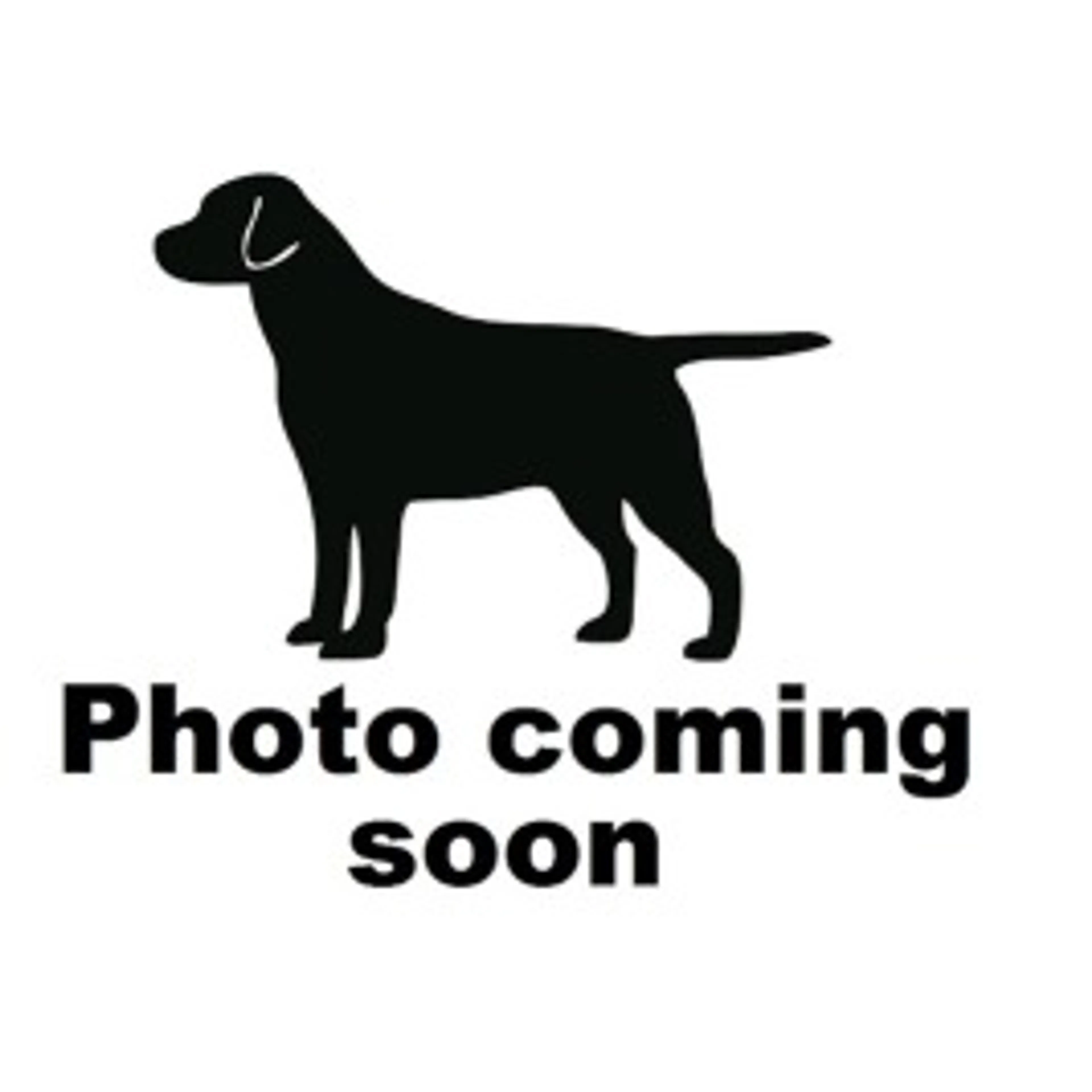 cdn image